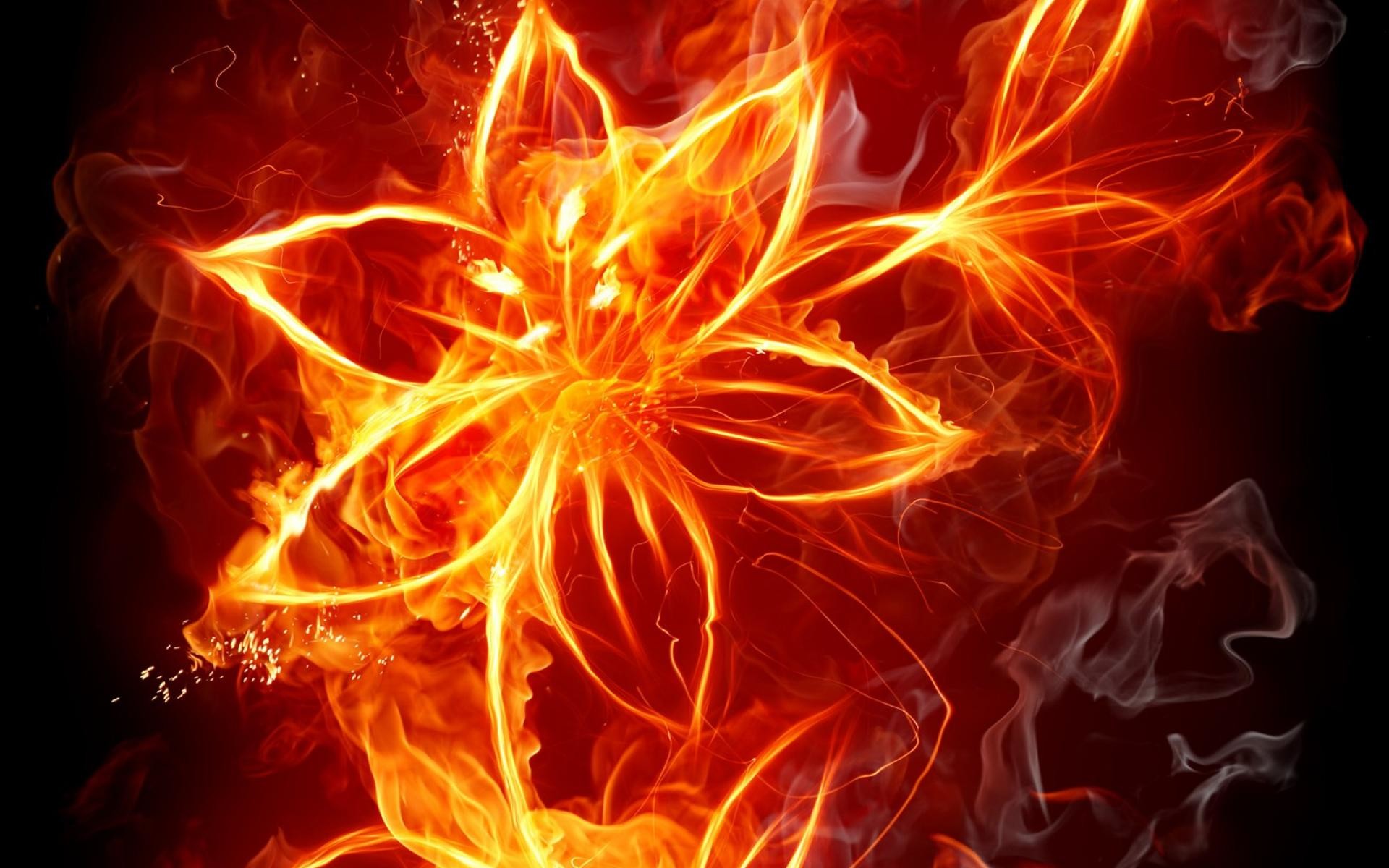 1920x1200 Fire flower flames artwork HD Wallpaper.