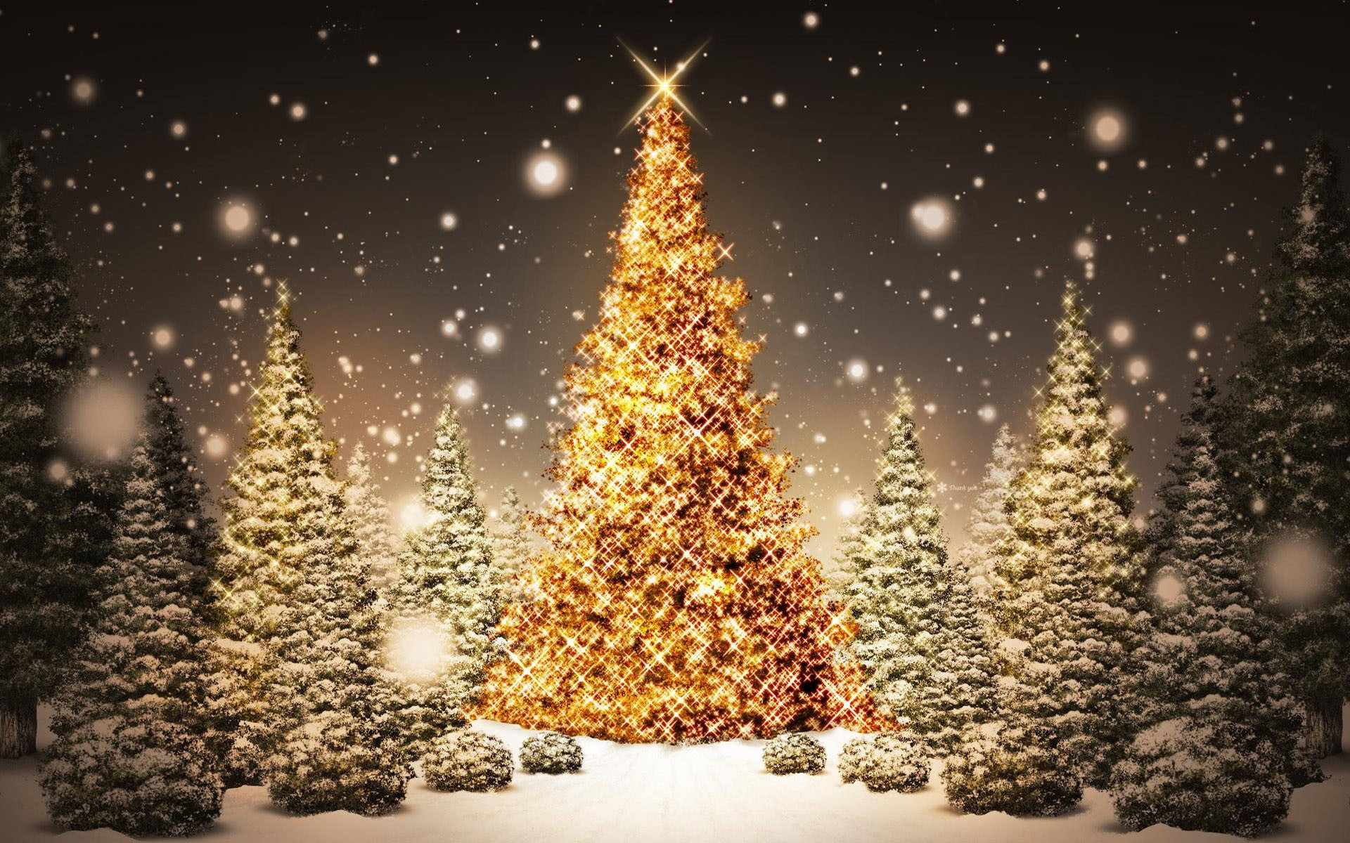 1920x1200 Snow & Christmas tree HD wallpaper