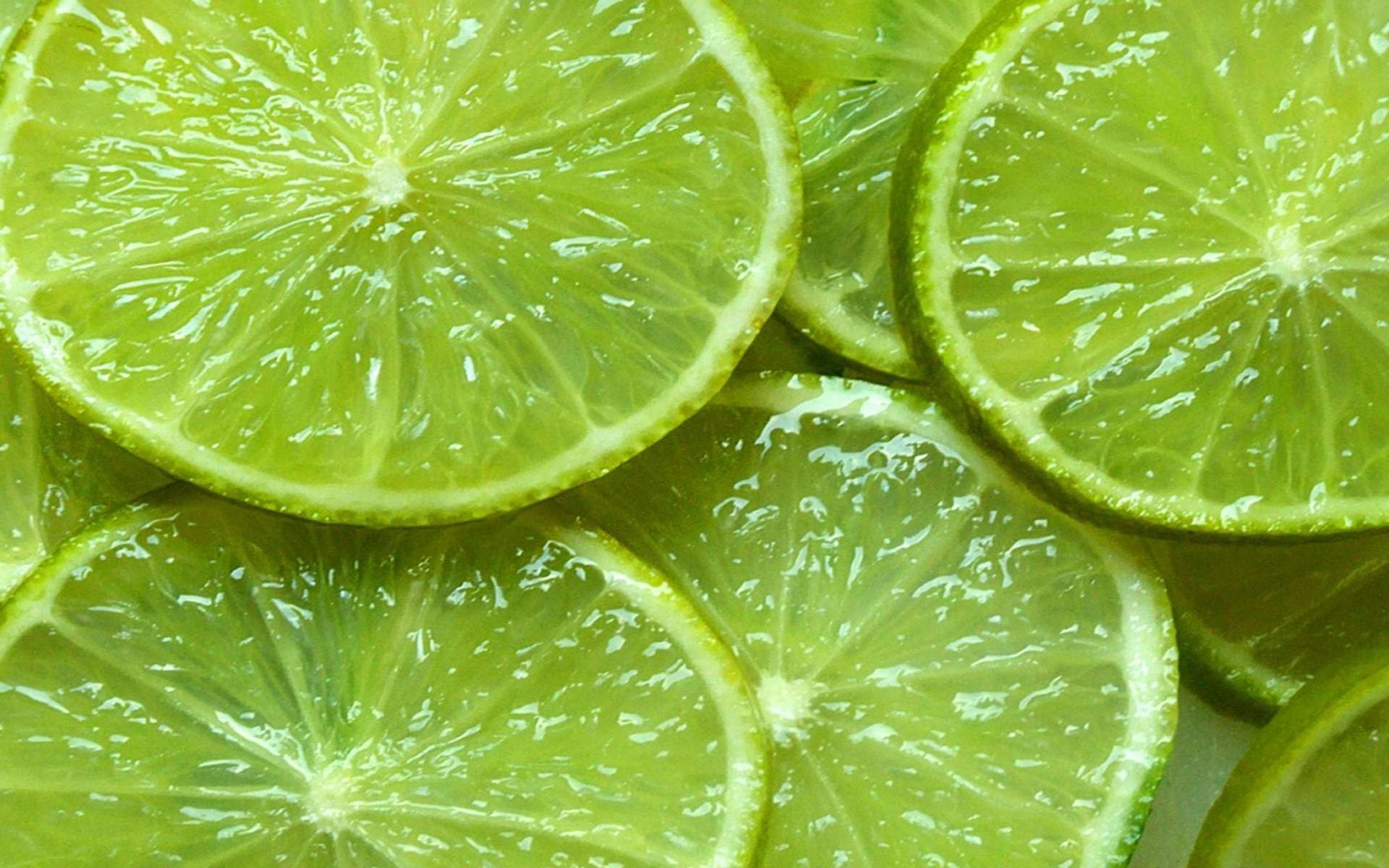 1920x1200 Food - Lime Lemon Wallpaper