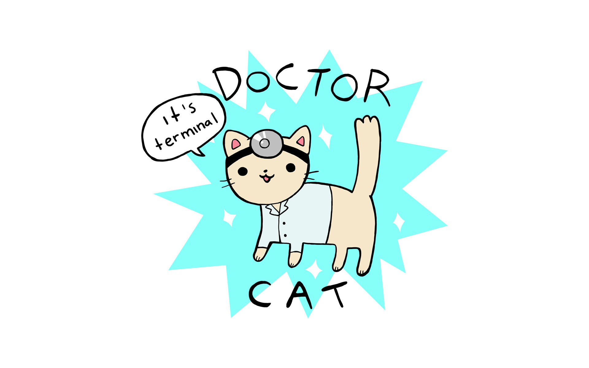 1920x1200 Doctor Cat Wallpaper 16Ã10 ...