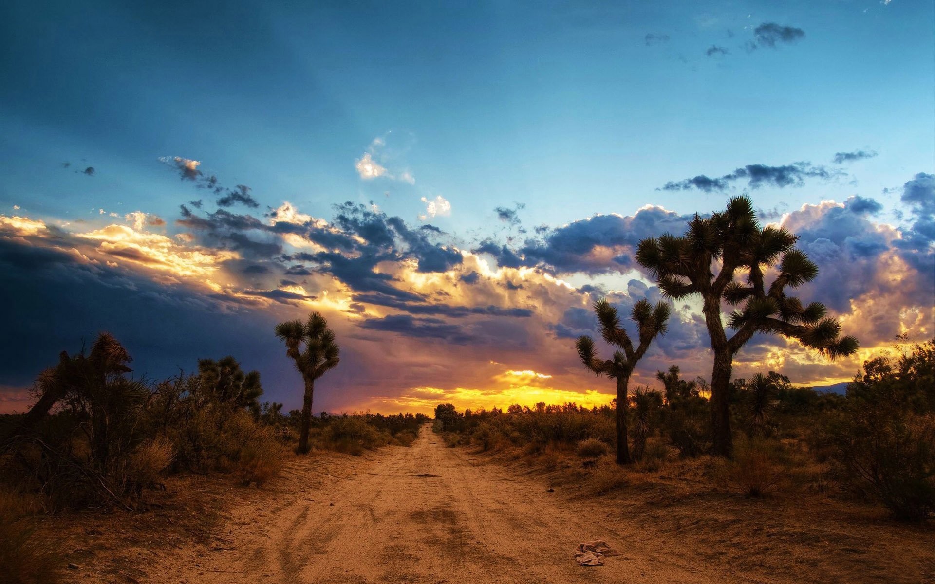 1920x1200 Erde/Natur - Steppe Erde/Natur Mojave Desert Baum Kaktus StraÃe Himmel  Sonnenuntergang Wallpaper