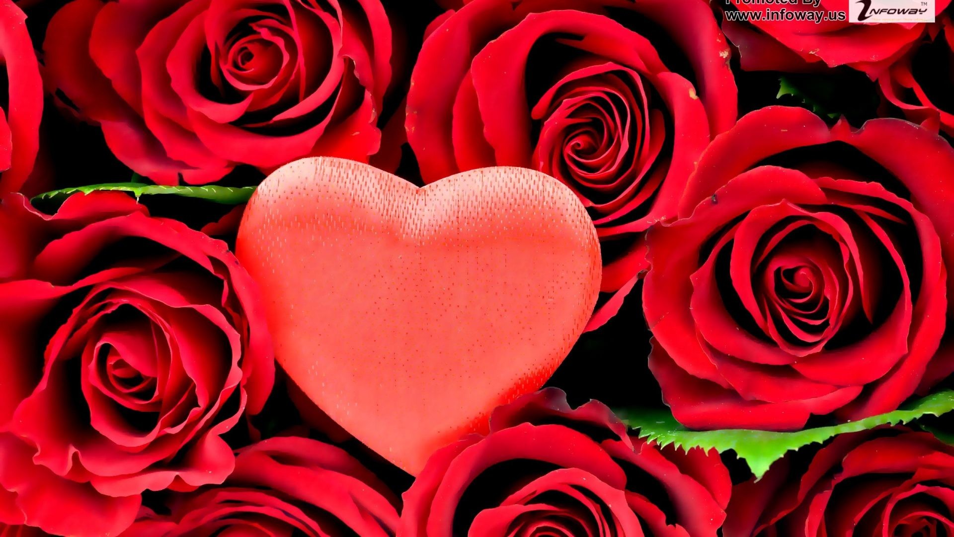 Wallpaper Heart Red Petal Valentines Day Love Background  Download  Free Image