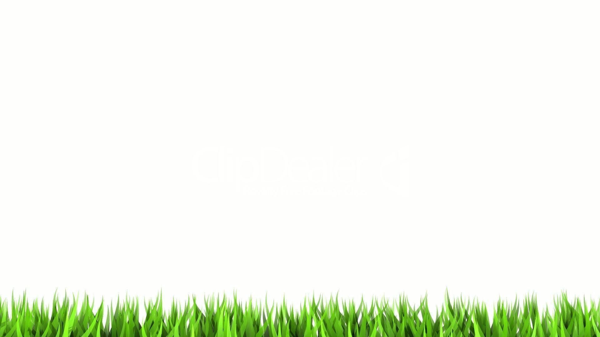 1920x1080 Green White Wallpaper