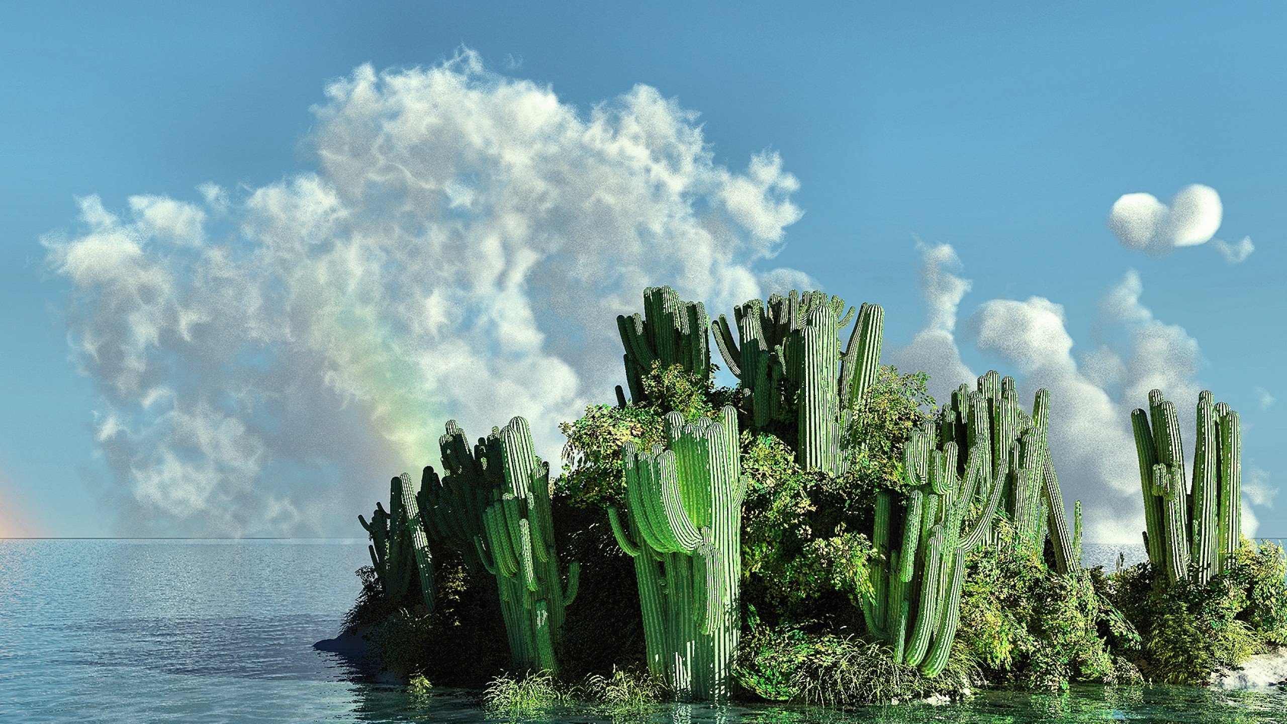 2560x1440  Wallpaper sea, island, cactus
