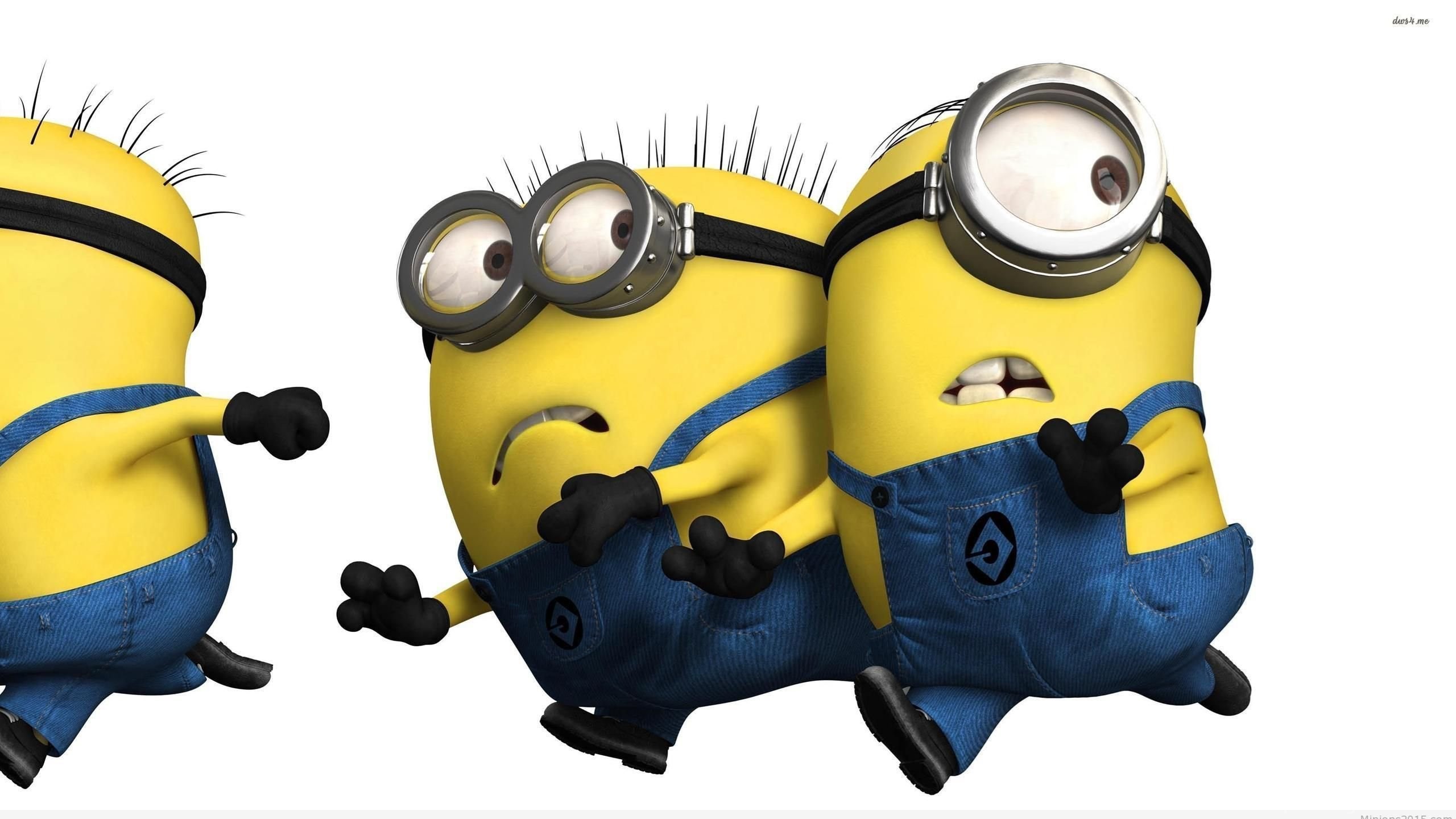 Funny Minions Wallpaper For Desktop (80+ images)