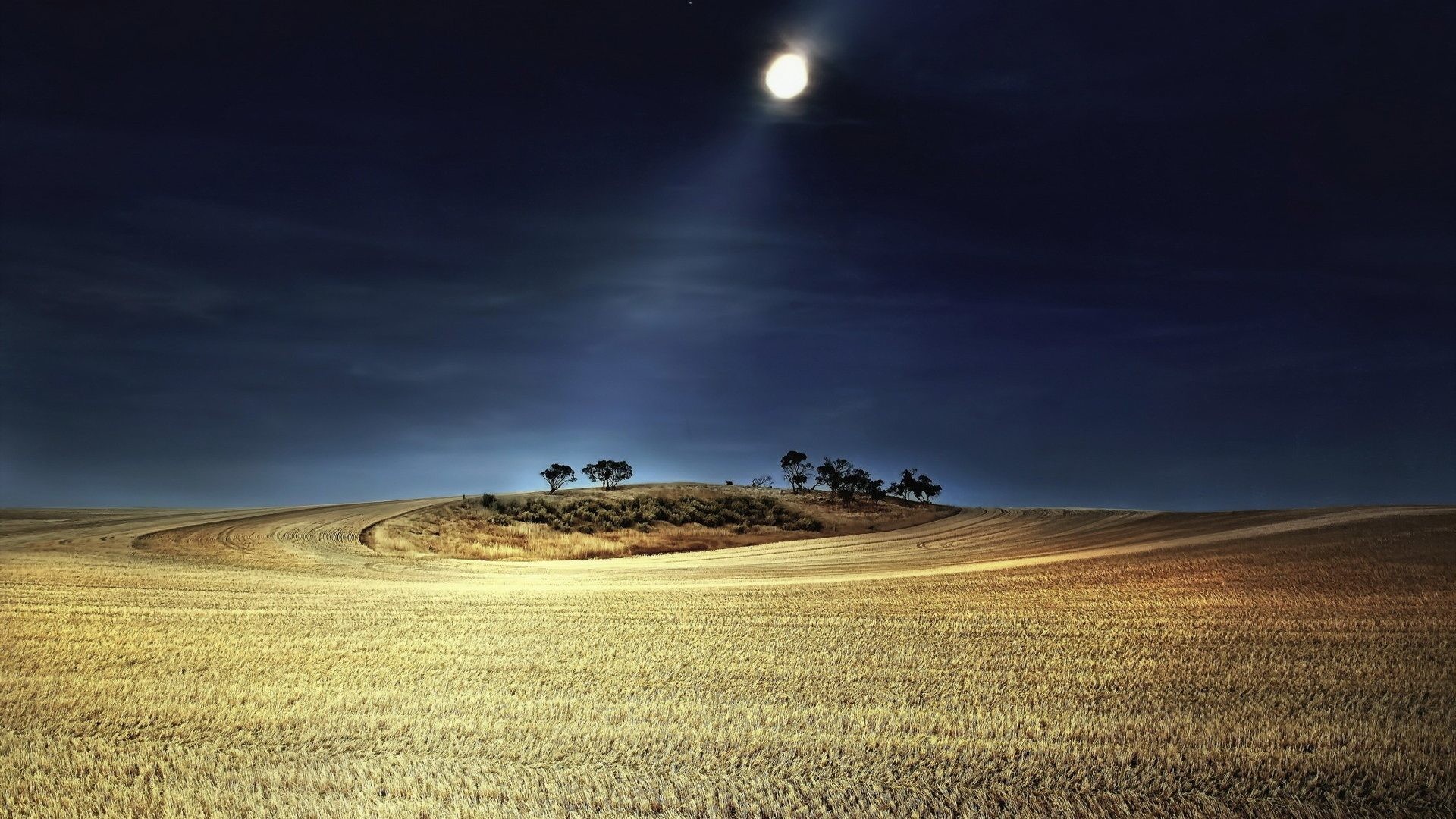 1920x1080 Night Hill Moonlight Trees Beams Wheat Sky Landscapes Moon Fields Rays Farm  Hd Images Of The Nature - 1920x1200