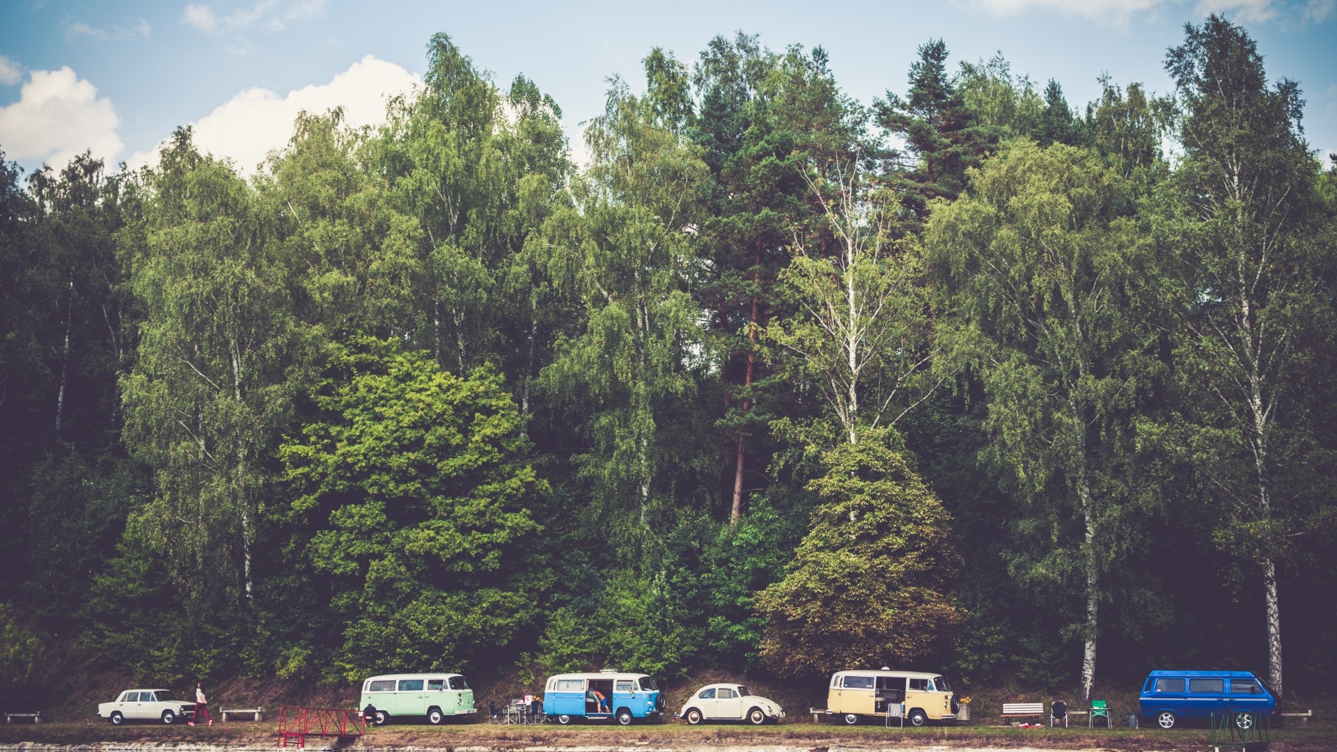 1920x1080 Preview wallpaper trees, forest, vans, camping 