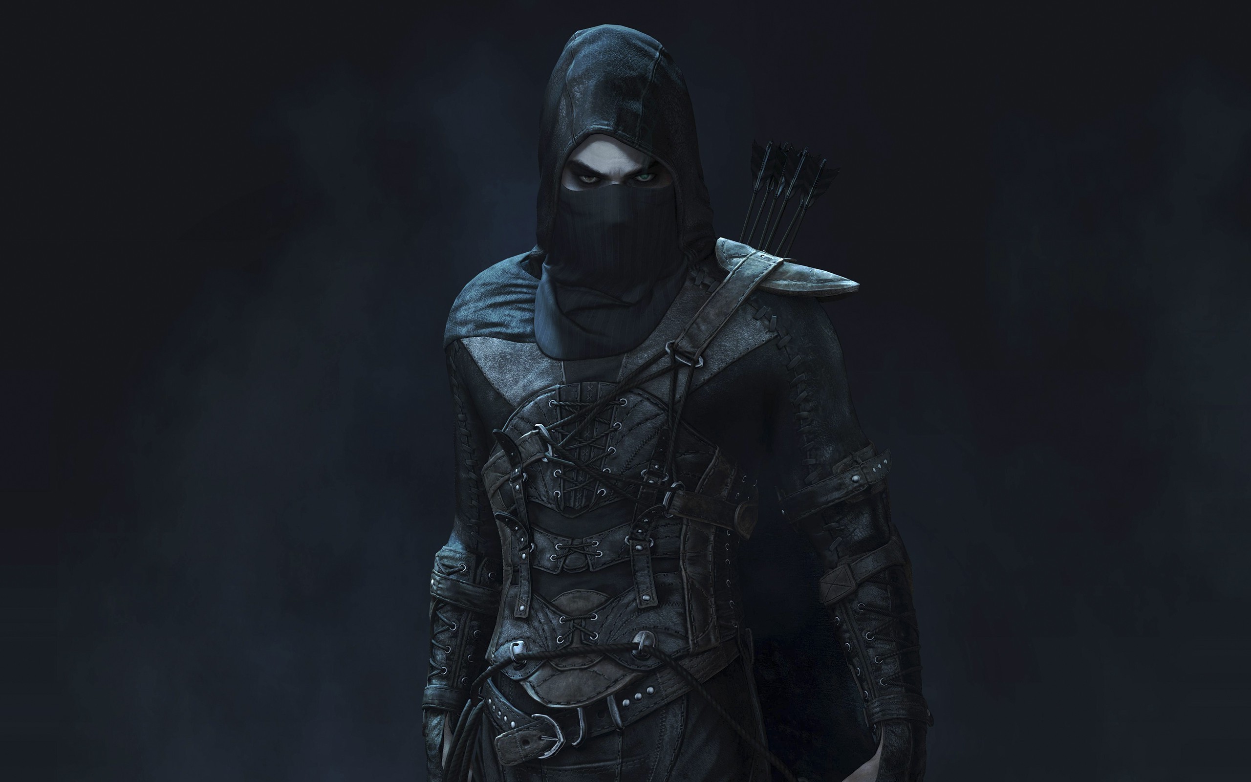 2560x1600 video Game Characters, Thief