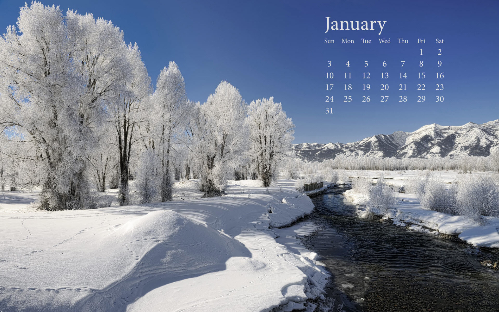 1920x1200 Fresh Snow January 2010 Calender Wallpapers HD Wallpapers 