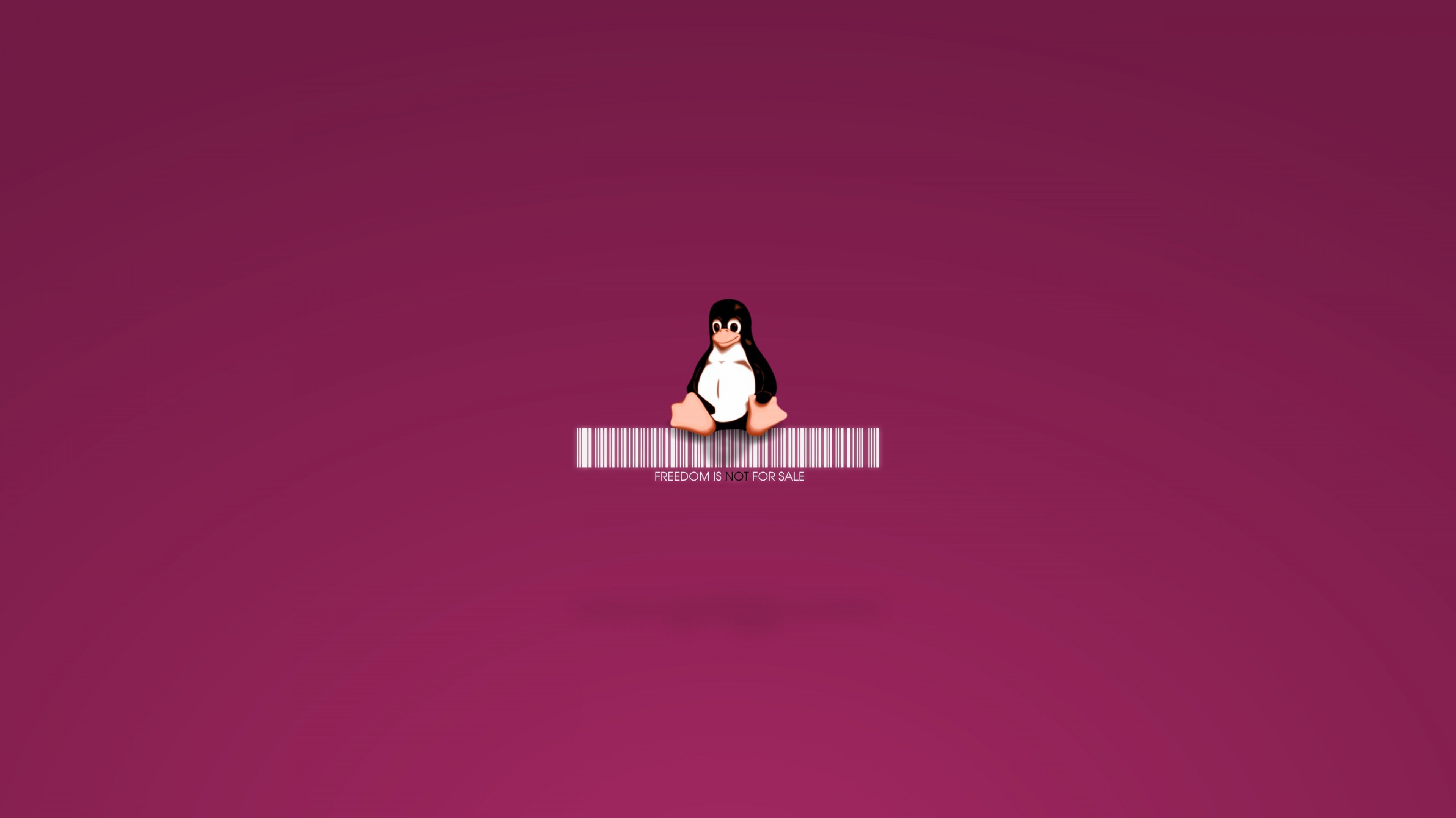 3840x2160 Linux Penguin