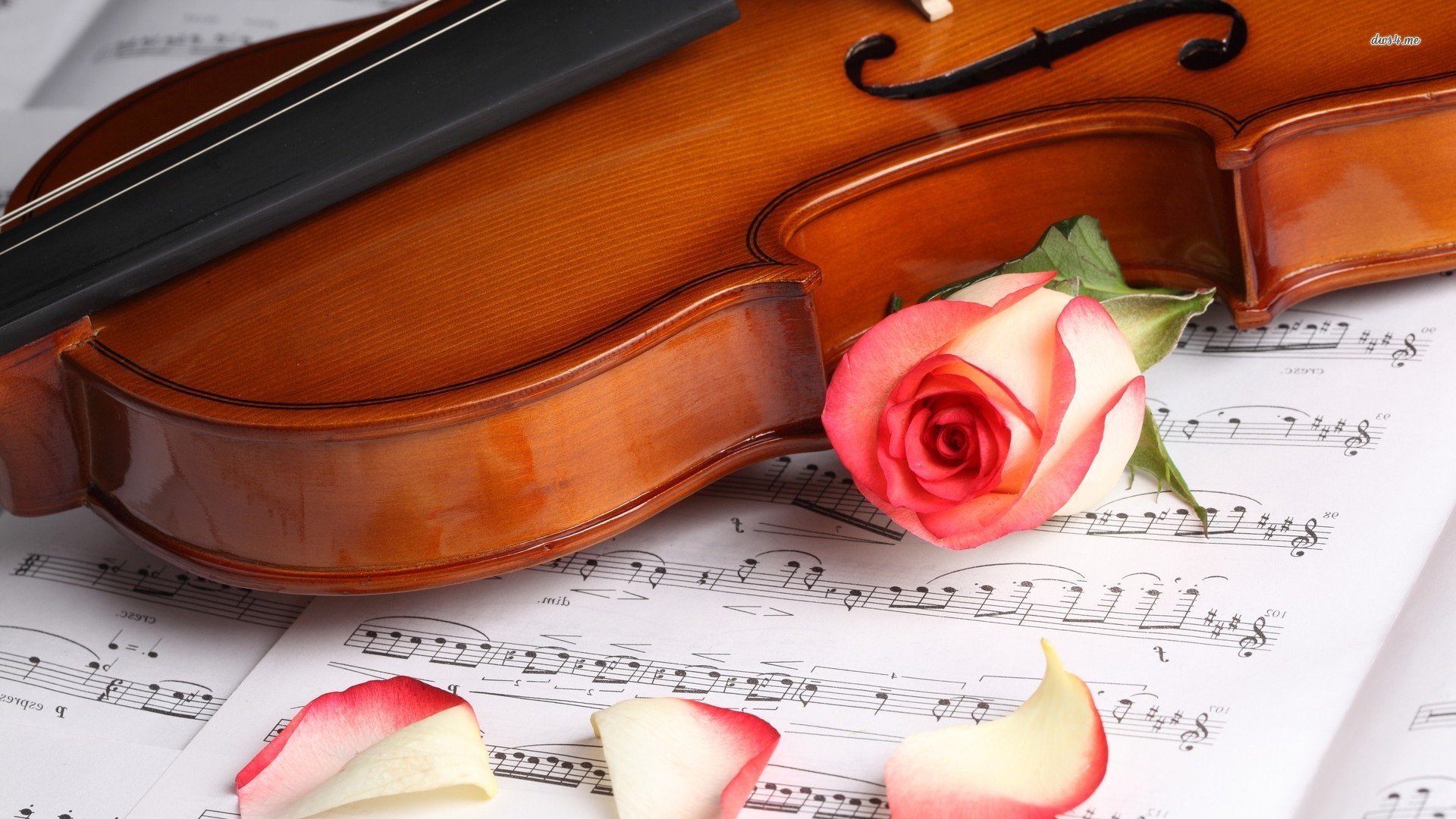 1920x1080 ... Violin and rose on music sheet wallpaper  ...