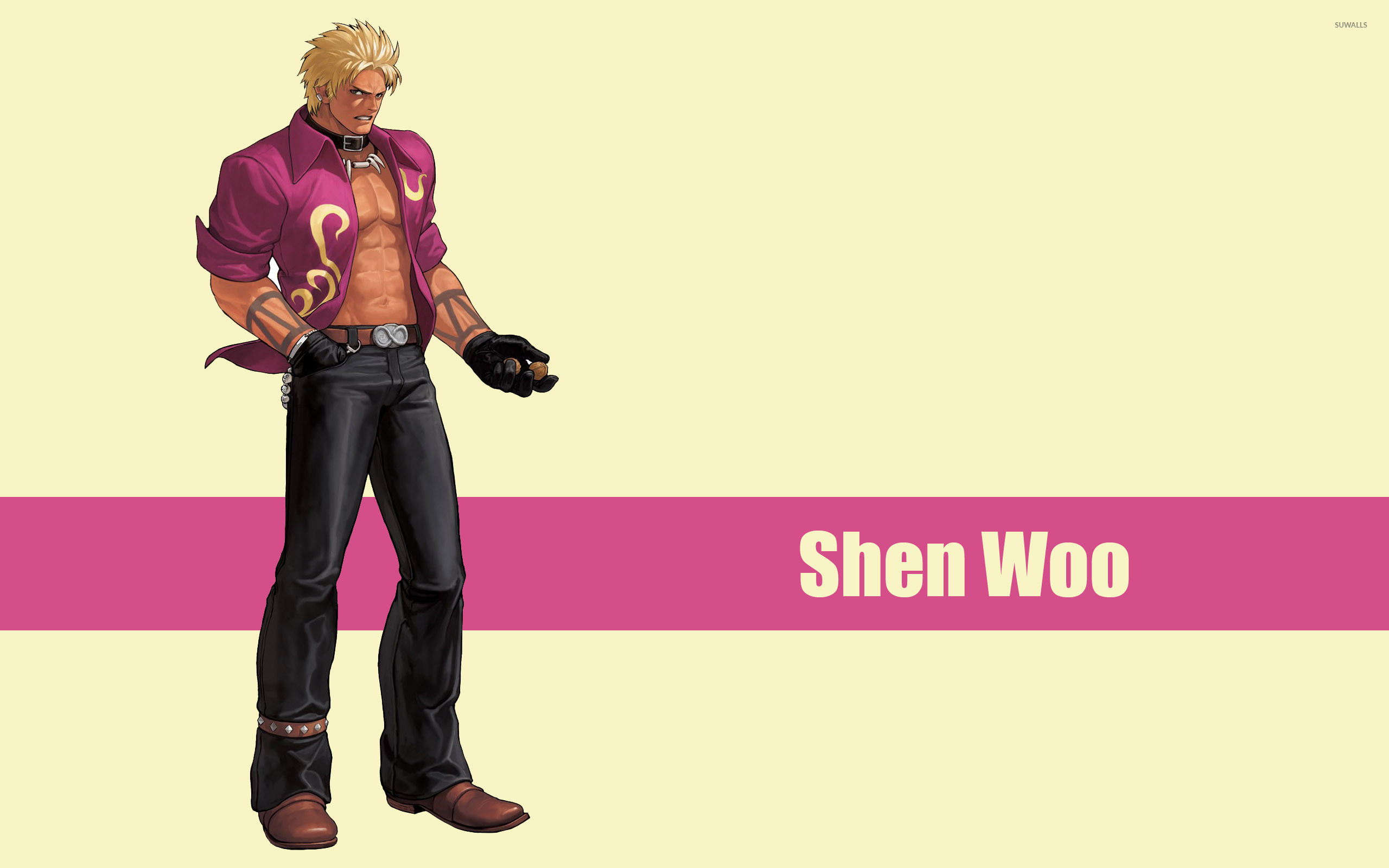 2560x1600 Shen Woo - The King of Fighters wallpaper