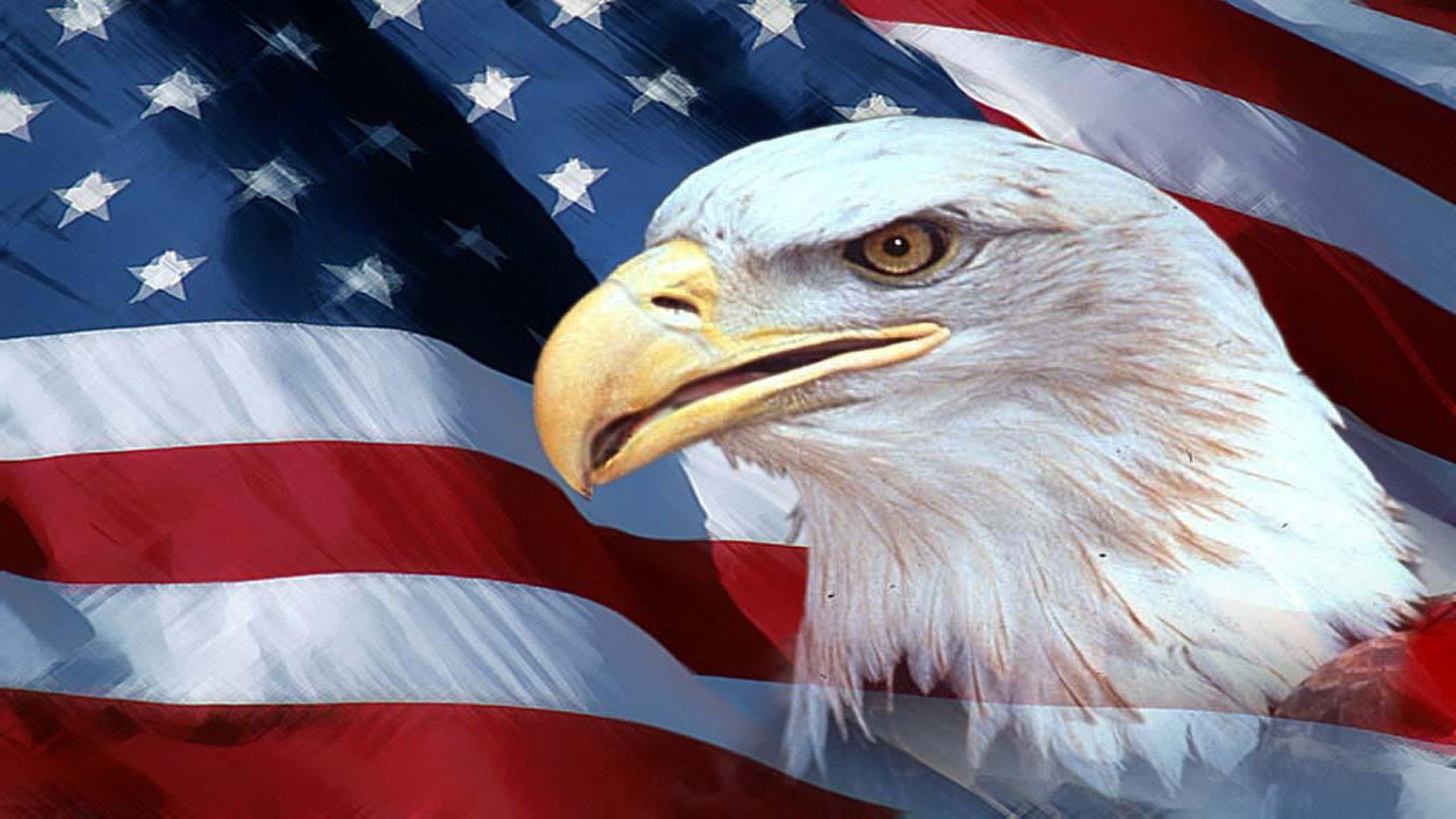 2560x1440 American Flag Eagle Background Wallpaper - Mbagusi.com