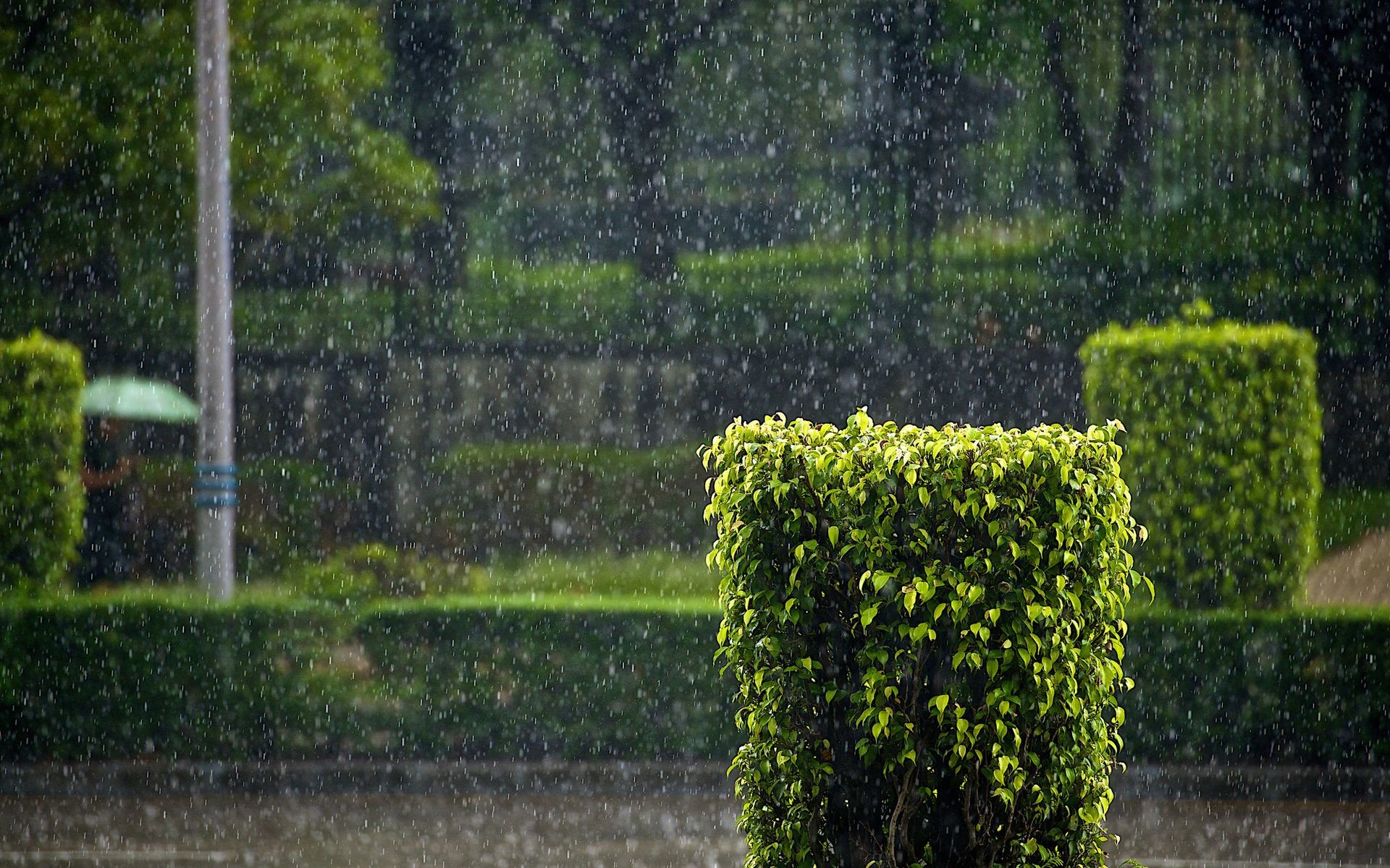 1920x1200 Most Beautiful Rainy Day Wallpaper Gallery HD Wallpapers Ã