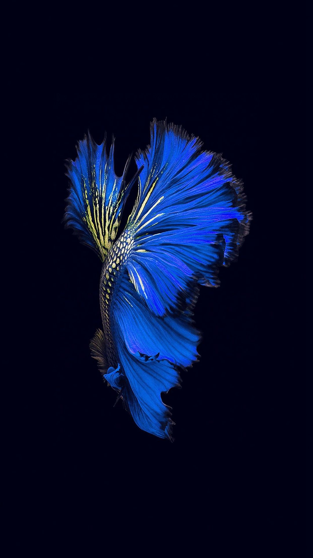 1080x1920 Apple Ios9 Fish Live Background Dark Blue #iPhone #6 #plus #wallpaper