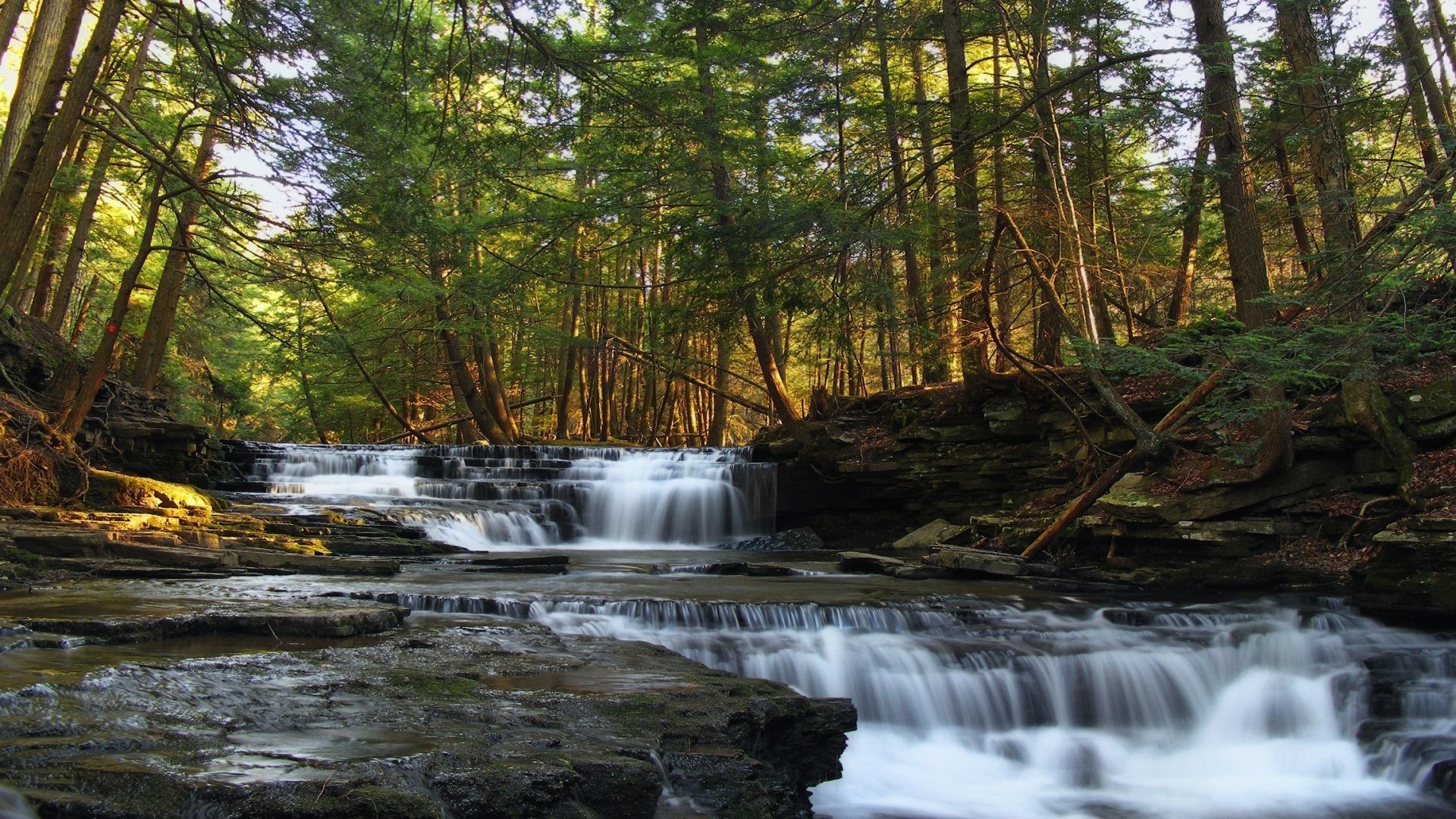 1920x1080 Trough Tag - Park Springs Spring Sky Rock Forest Pennsylvania Nature  Waterfall Sunshine State Trough Salt