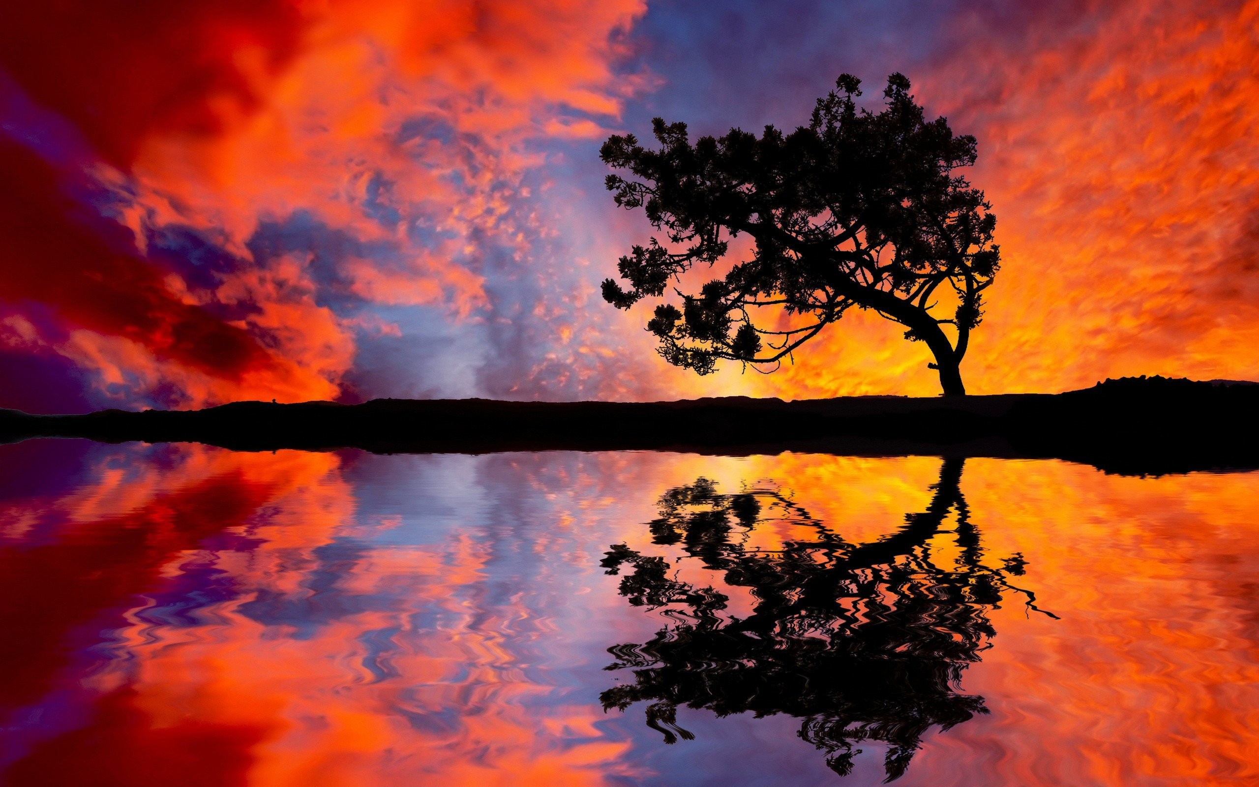 2560x1600 ... 6944719-tree-sunset-reflection ...