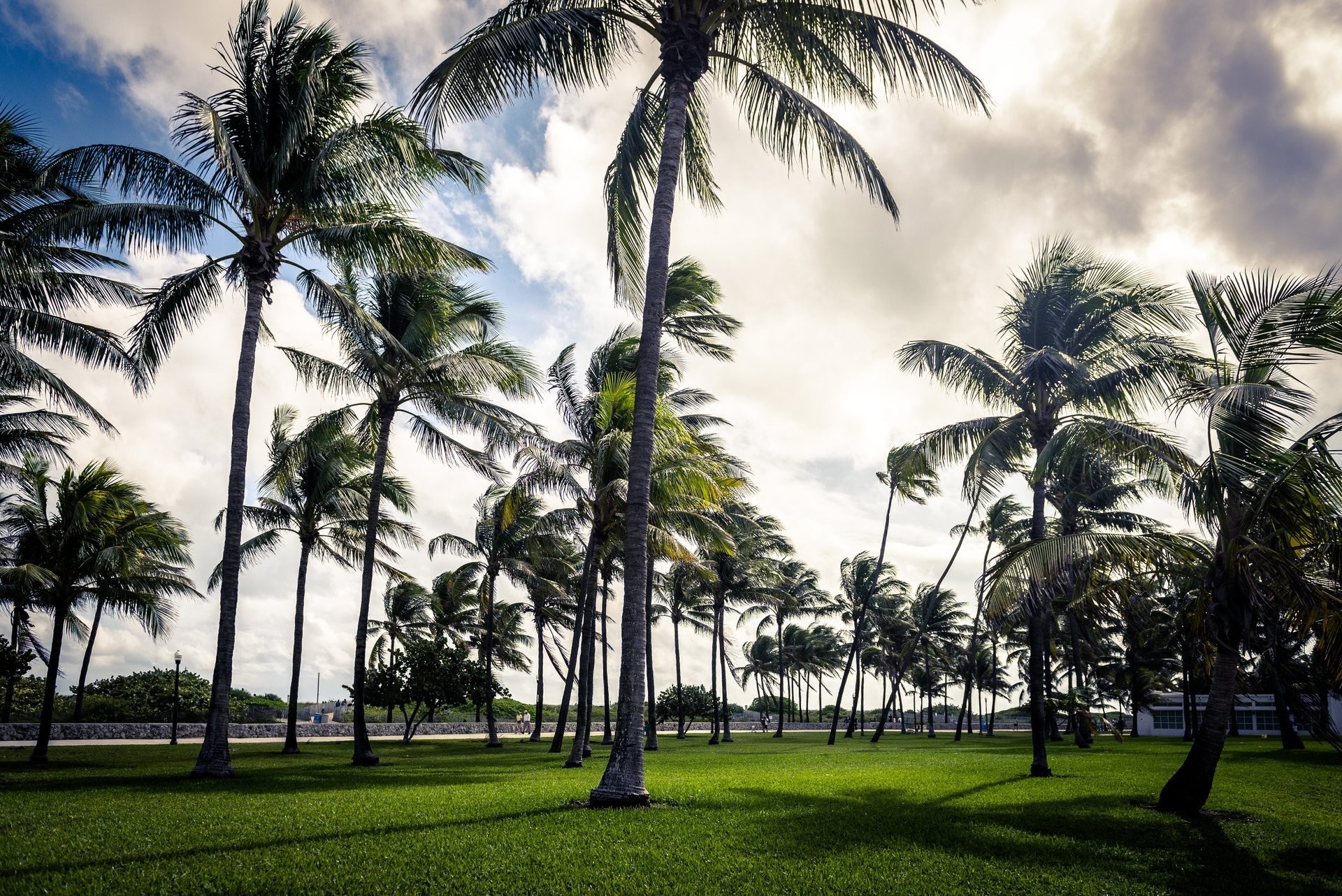 1920x1282 art deco palm miami beach florida usa sky cloud grass park art deco palma  palm miami