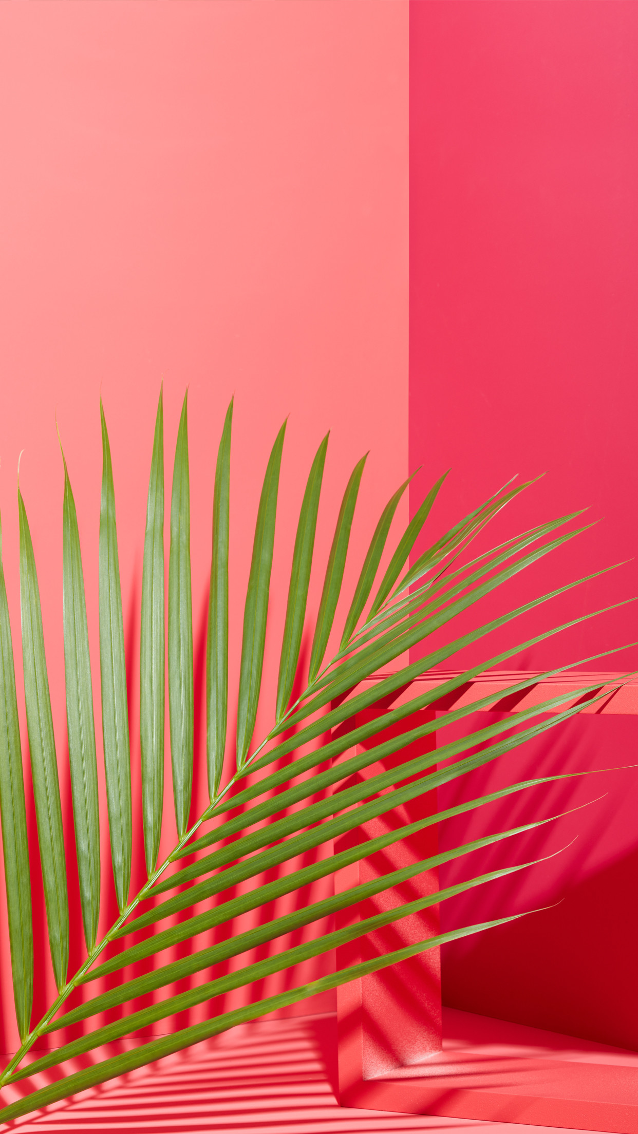 1242x2208 west elm - Tropical Leaves + Pink Mobile Wallpaper Download