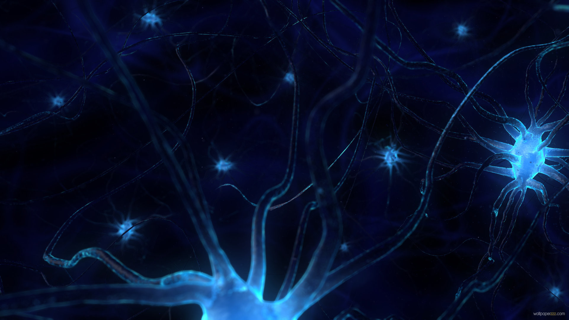 abstract neuron wallpaper