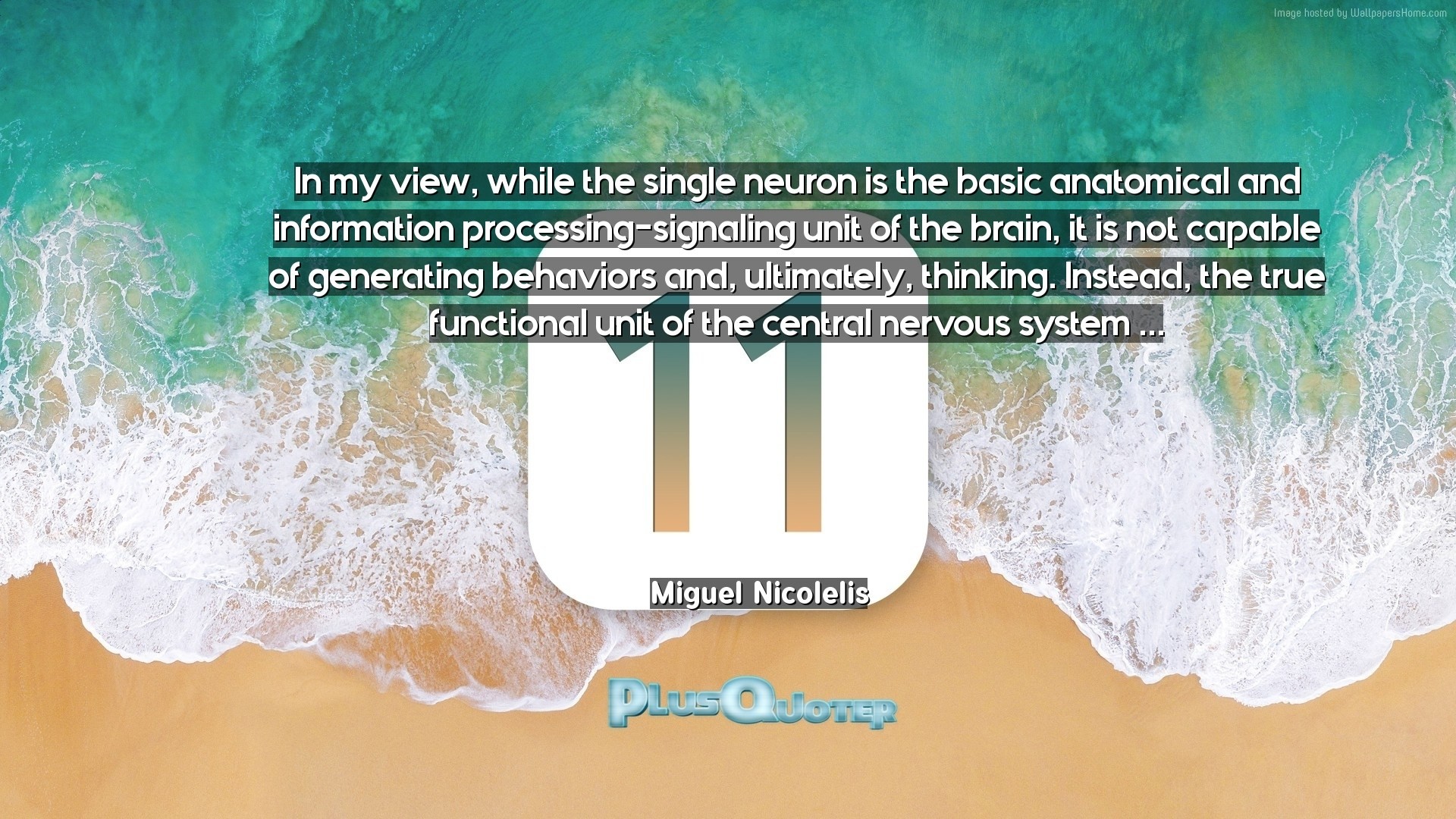 1920x1080 Download Wallpaper with inspirational Quotes- "In my view, while the single  neuron is