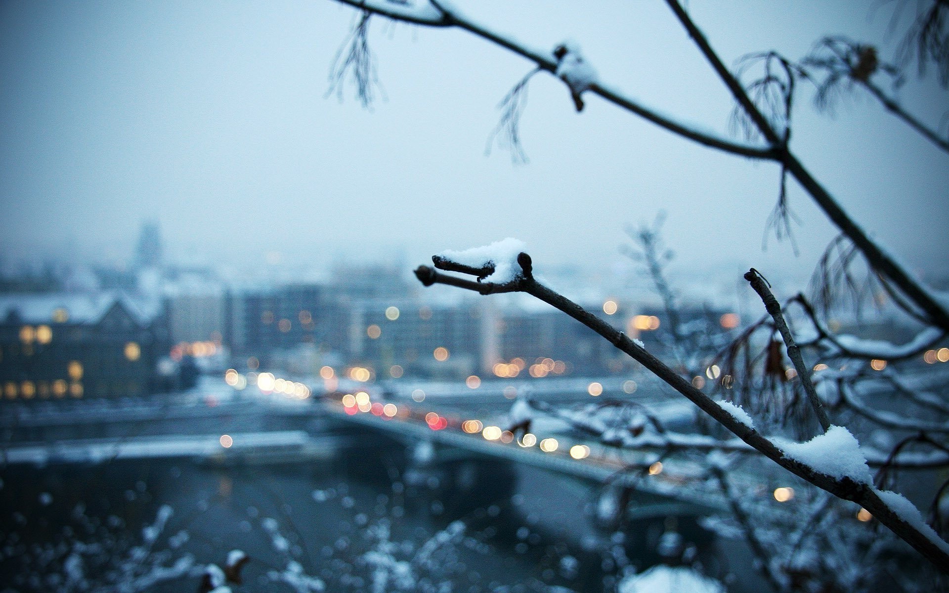 1920x1200 winter, Landscape, Trees, Depth Of Field, Snow, City Wallpapers HD /  Desktop and Mobile Backgrounds