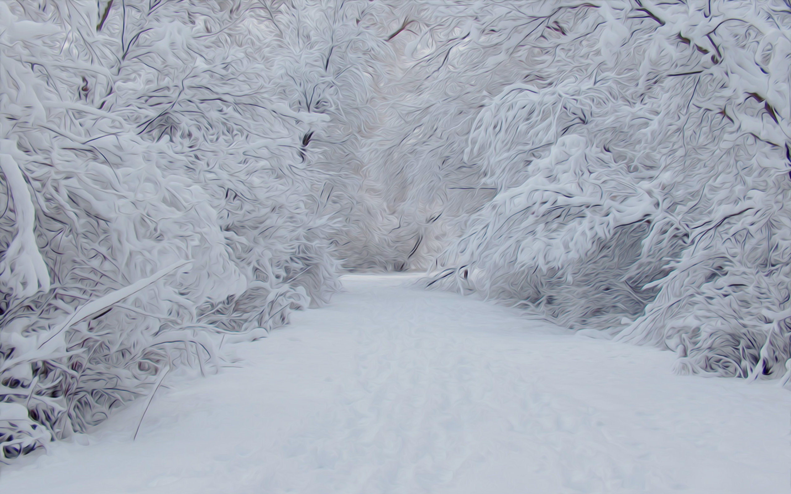 2560x1600 Winter images snowy snow HD wallpaper and background photos (34209346)