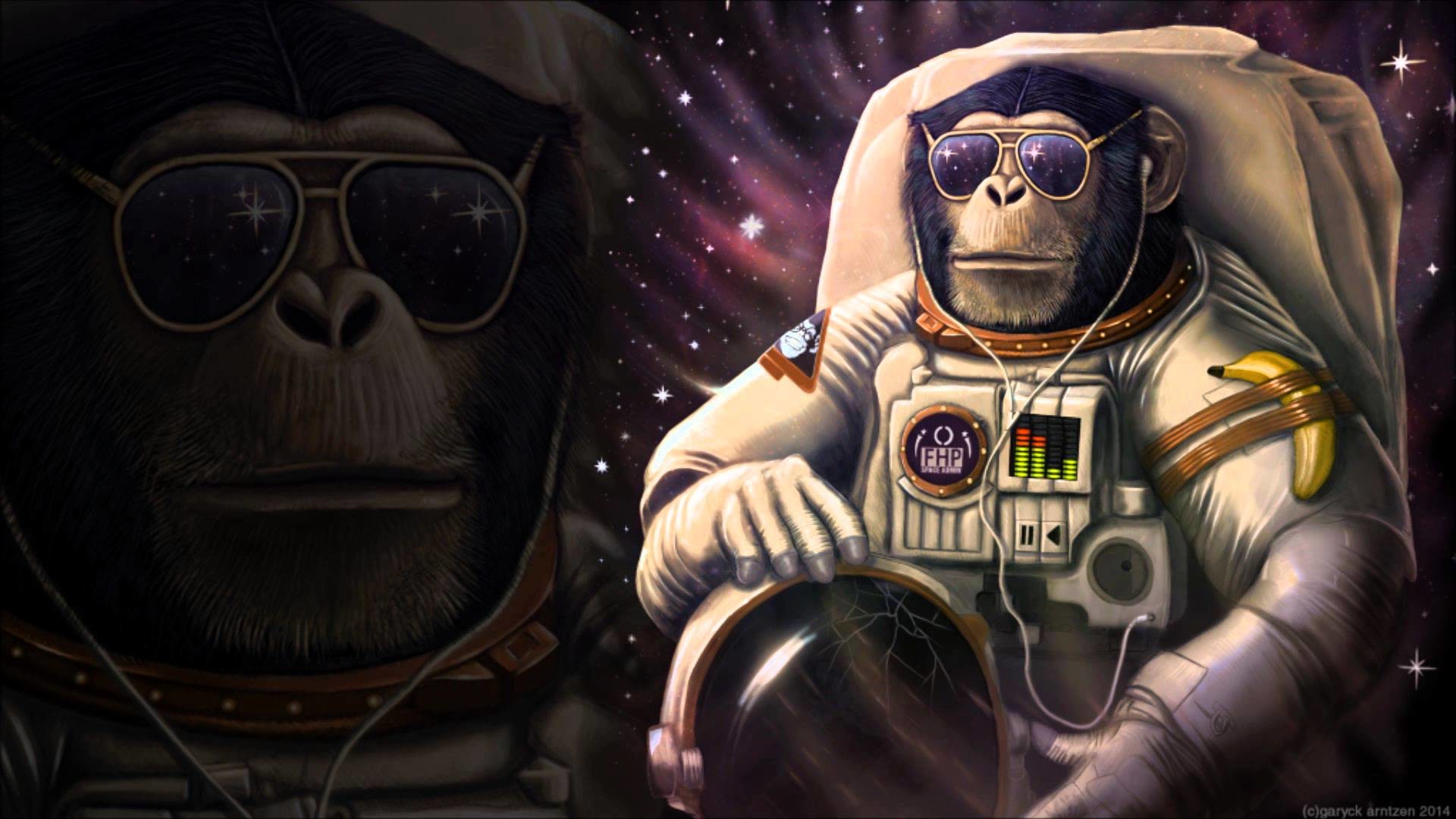sloth astronaut wallpaper