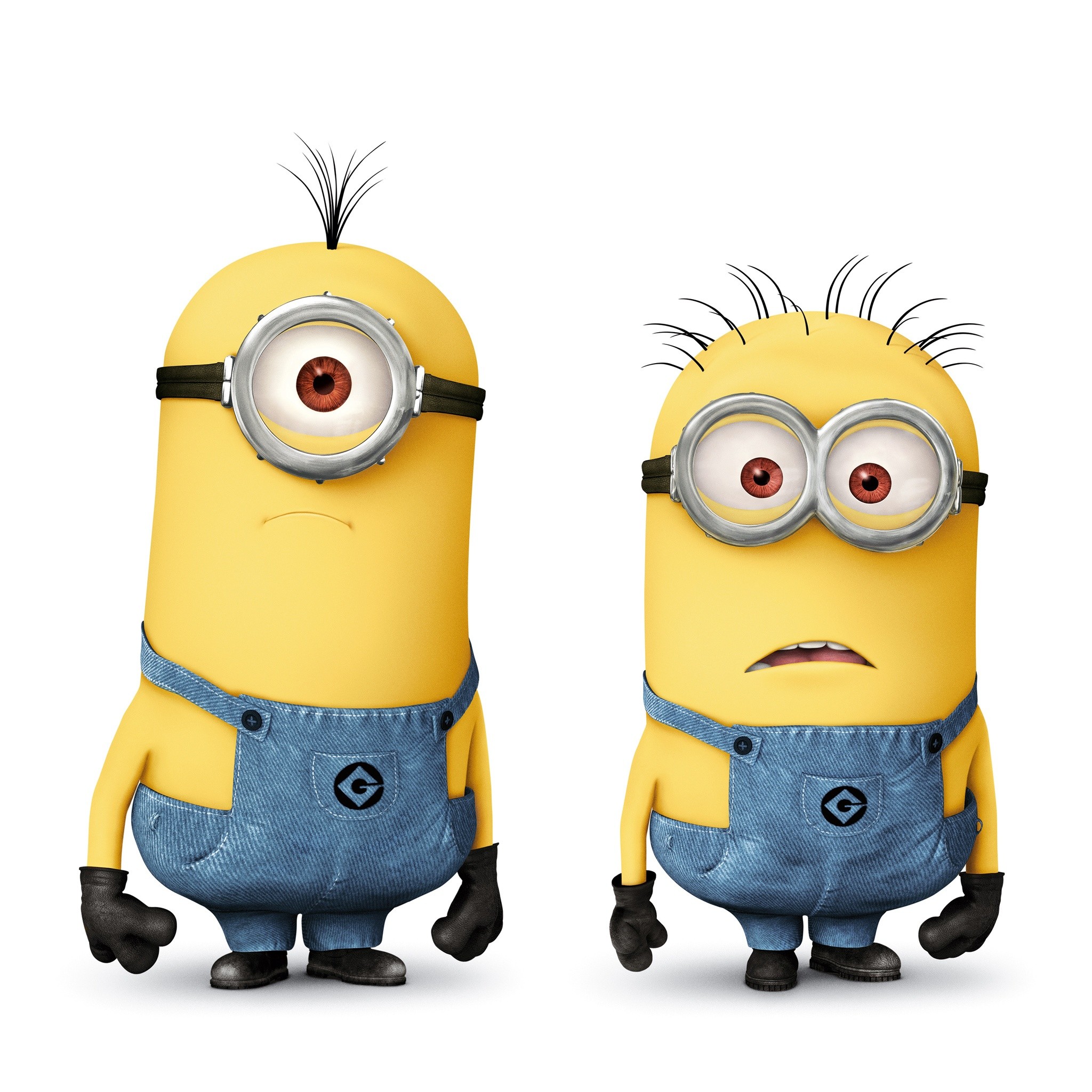 2048x2048 minions | Minions in Despicable Me 2 HD Wallpaper - iHD Wallpapers