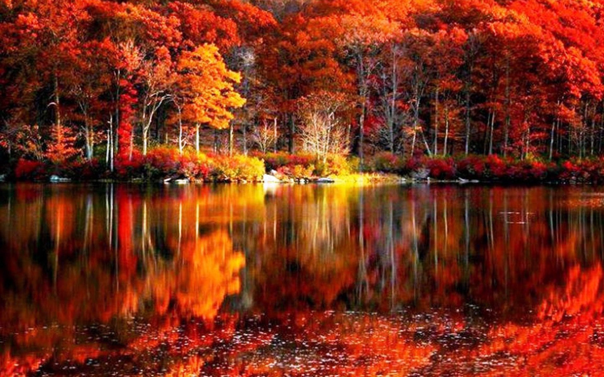 1920x1200 View Larger Image scenic autumn lake
