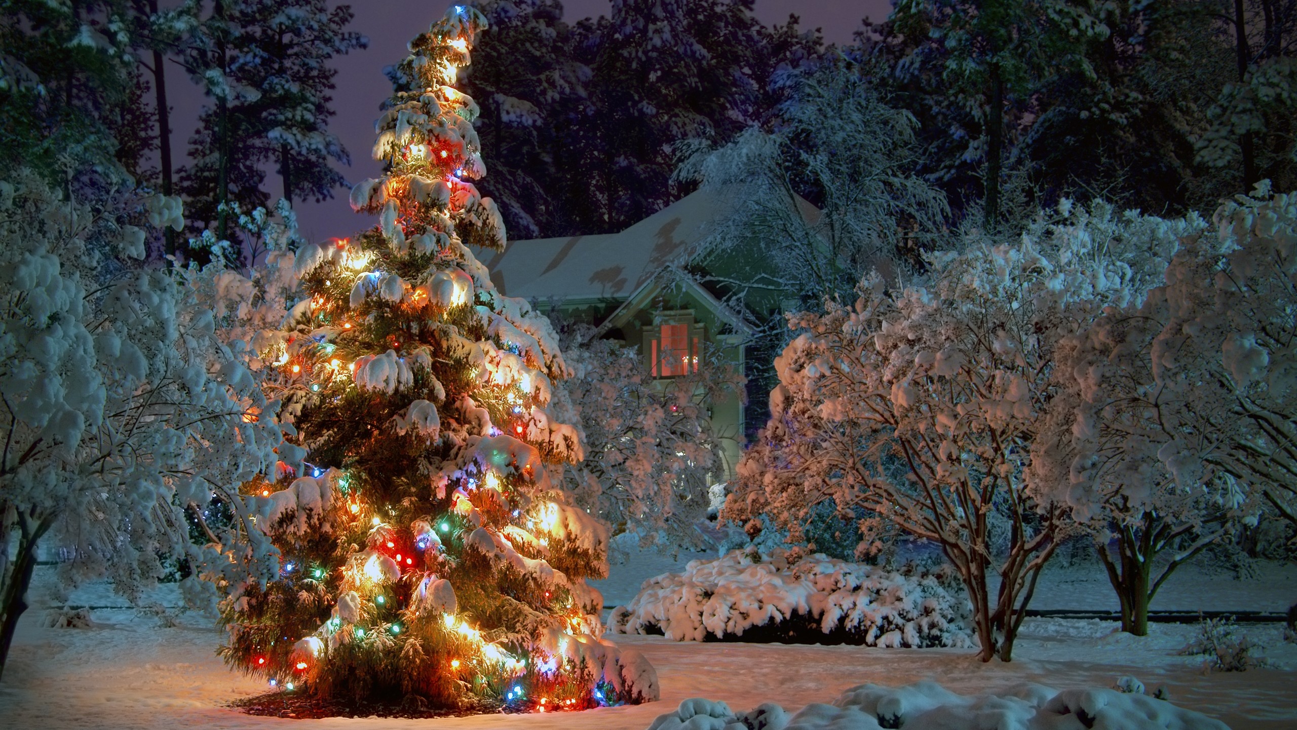 2560x1440 Full Size of Christmas: Christmas Tree Wallpaper Iphone Desktop Free  Backgrounds Backgroundsfree: ...