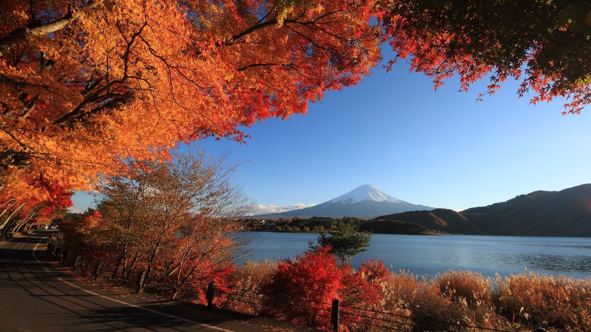 1920x1080 Fuji Tag - Nature Mountain Japanese Scenery San Lake Autumn Japan Fuji  Mobile Wallpapers for HD