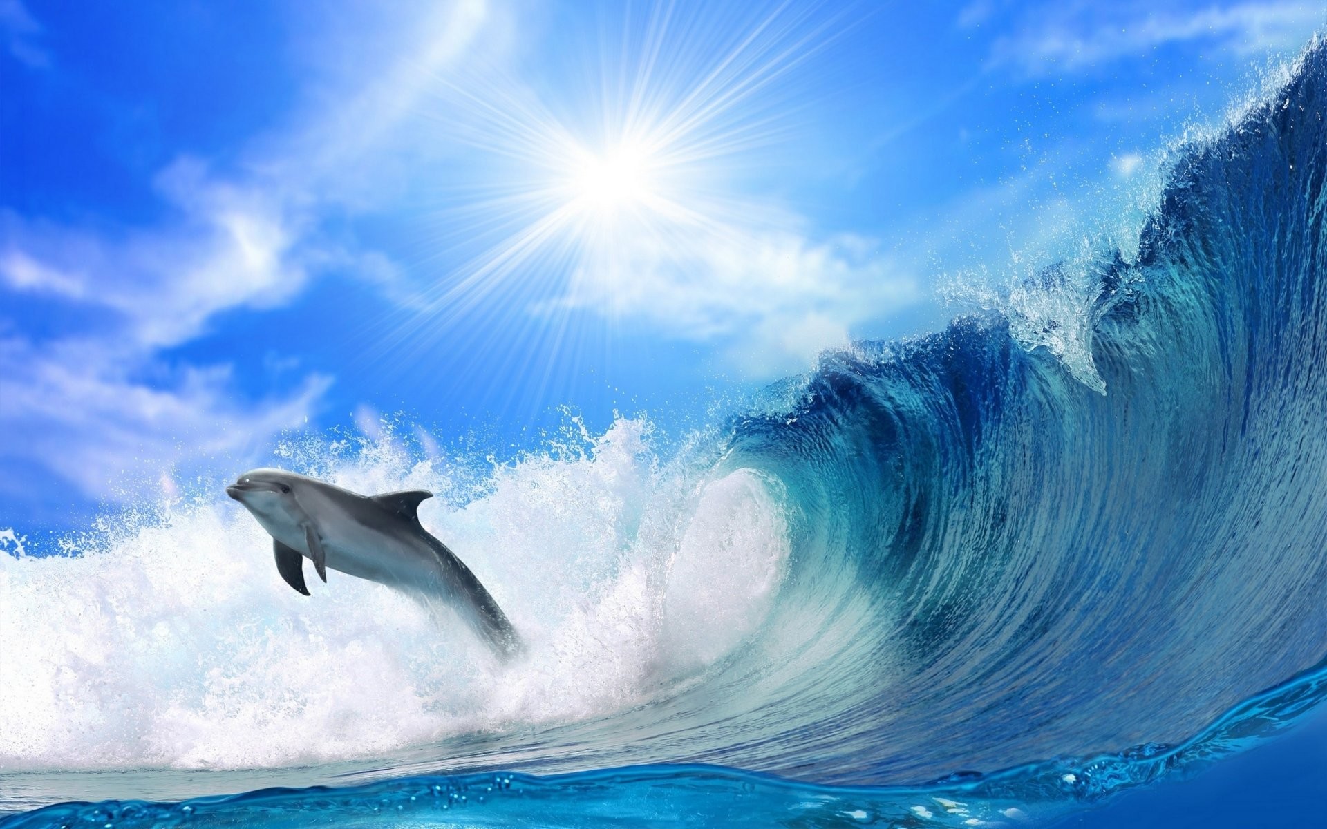 1920x1200 ocean wave foam dolphin sky dogs sun rays