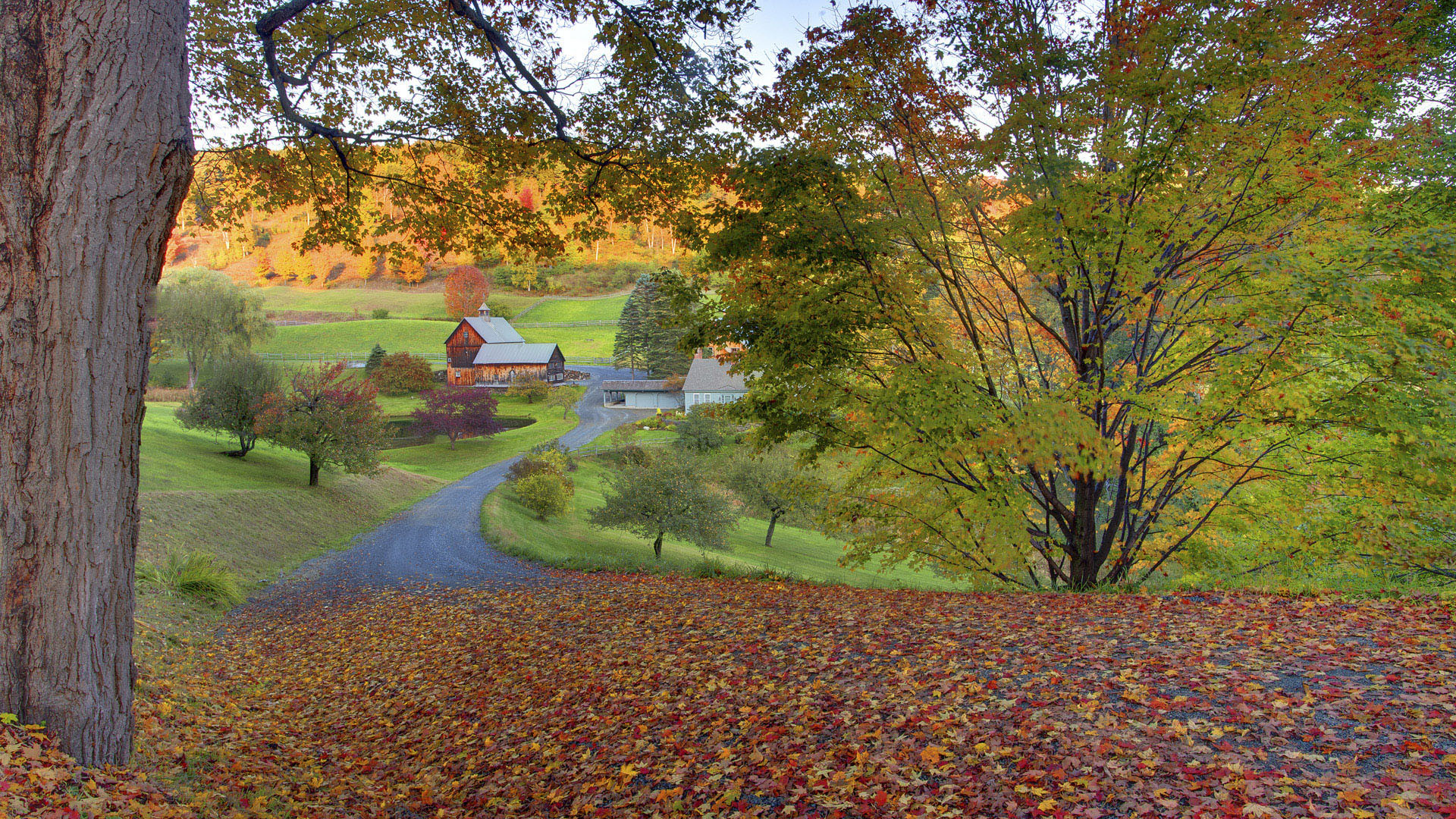 1920x1080 Fall Scenery | Wallpaper, autumn, beautiful, nature, scenery, garden (#