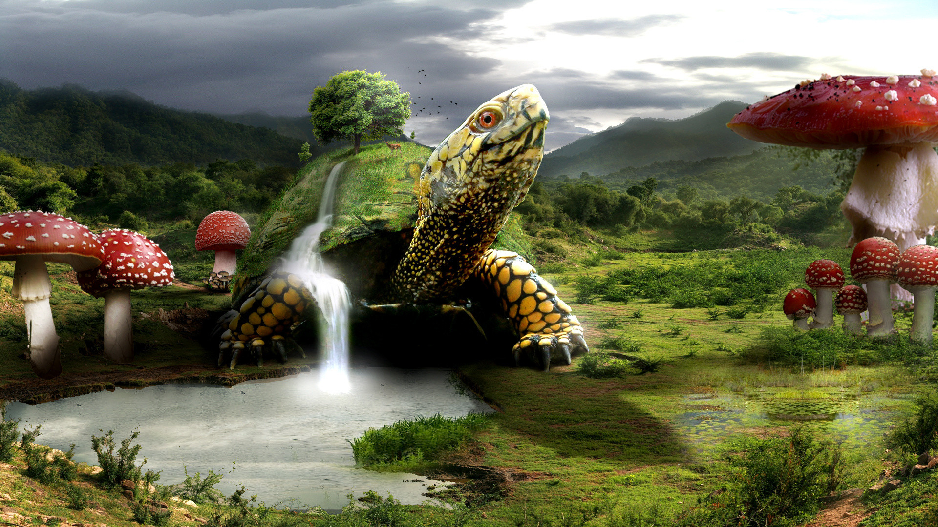 1920x1080 turtle turtles landscape mushroom waterfalls waterfall wallpaper
