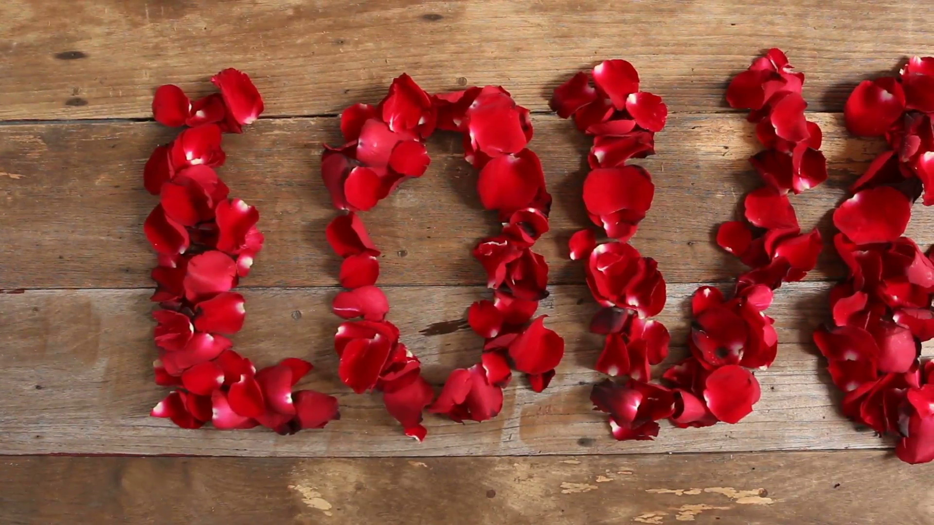 1920x1080 Wind blows red rose petals, Caption word love on wood background. Love  inscription from the petals of roses. Stock Video Footage - VideoBlocks