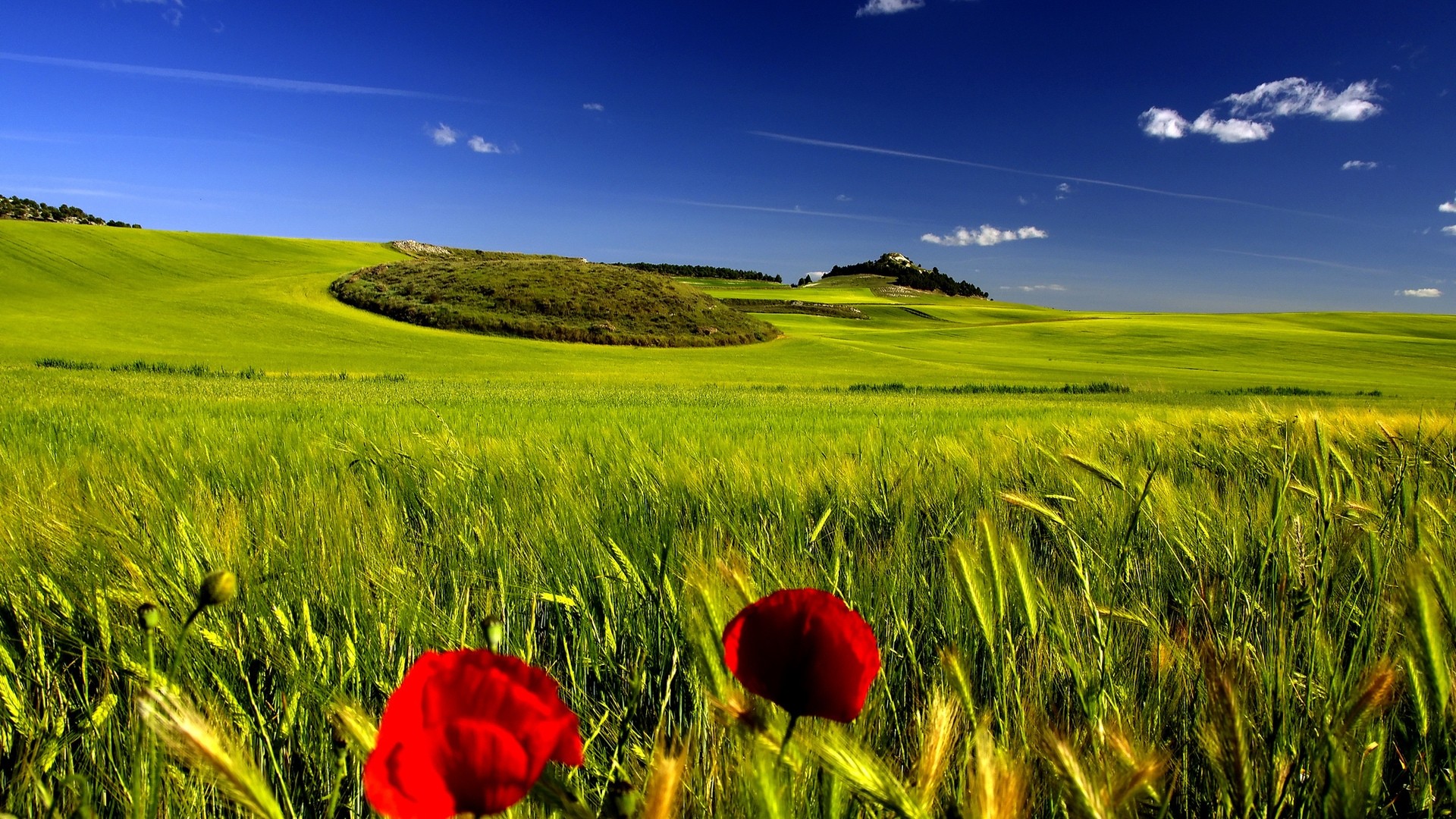 1920x1080 Large-Open-Field-with-Clear-Skies-HD-Wallpaper