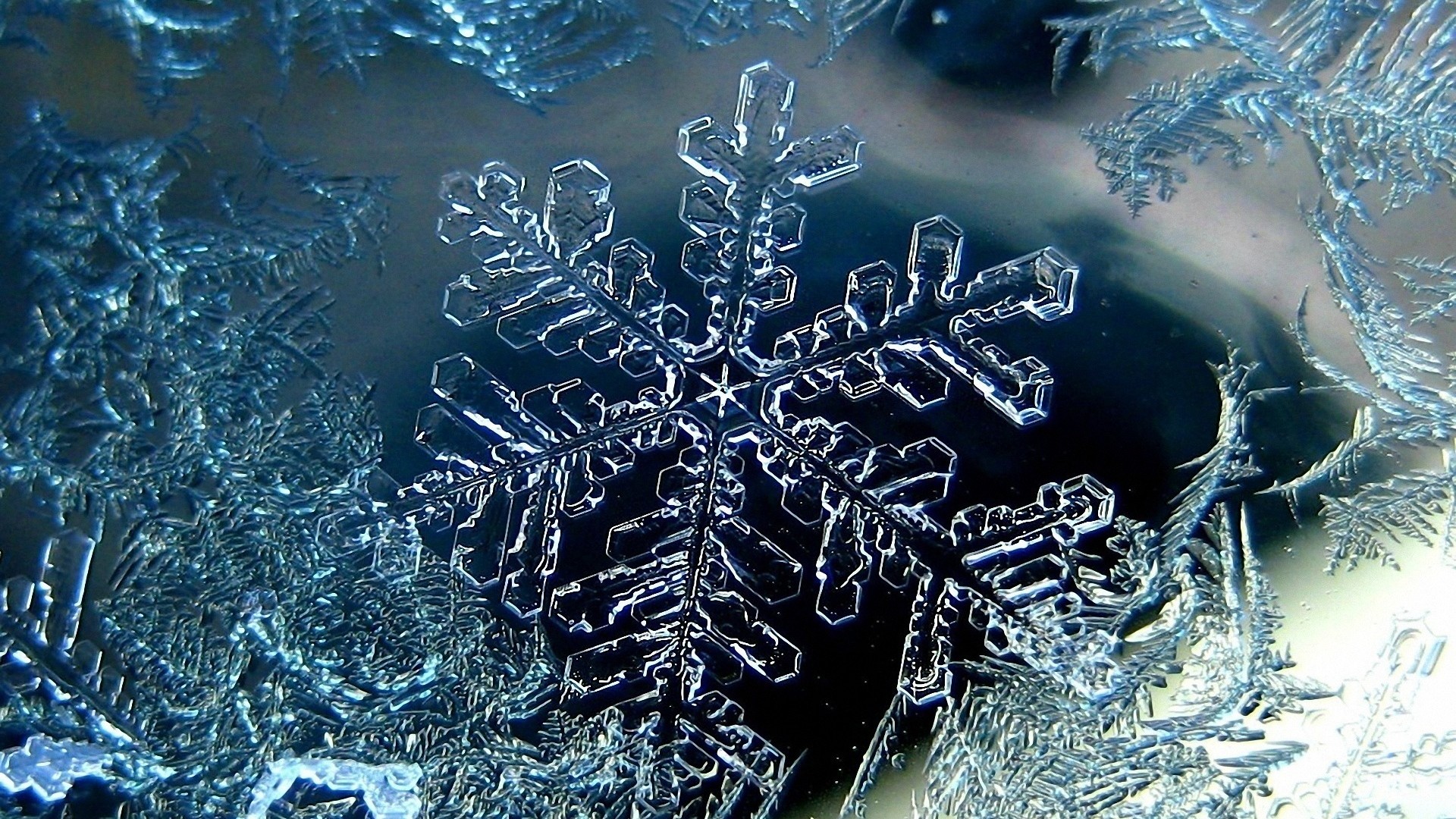 1920x1080  Wallpaper snowflakes, shapes, patterns, ice, winter