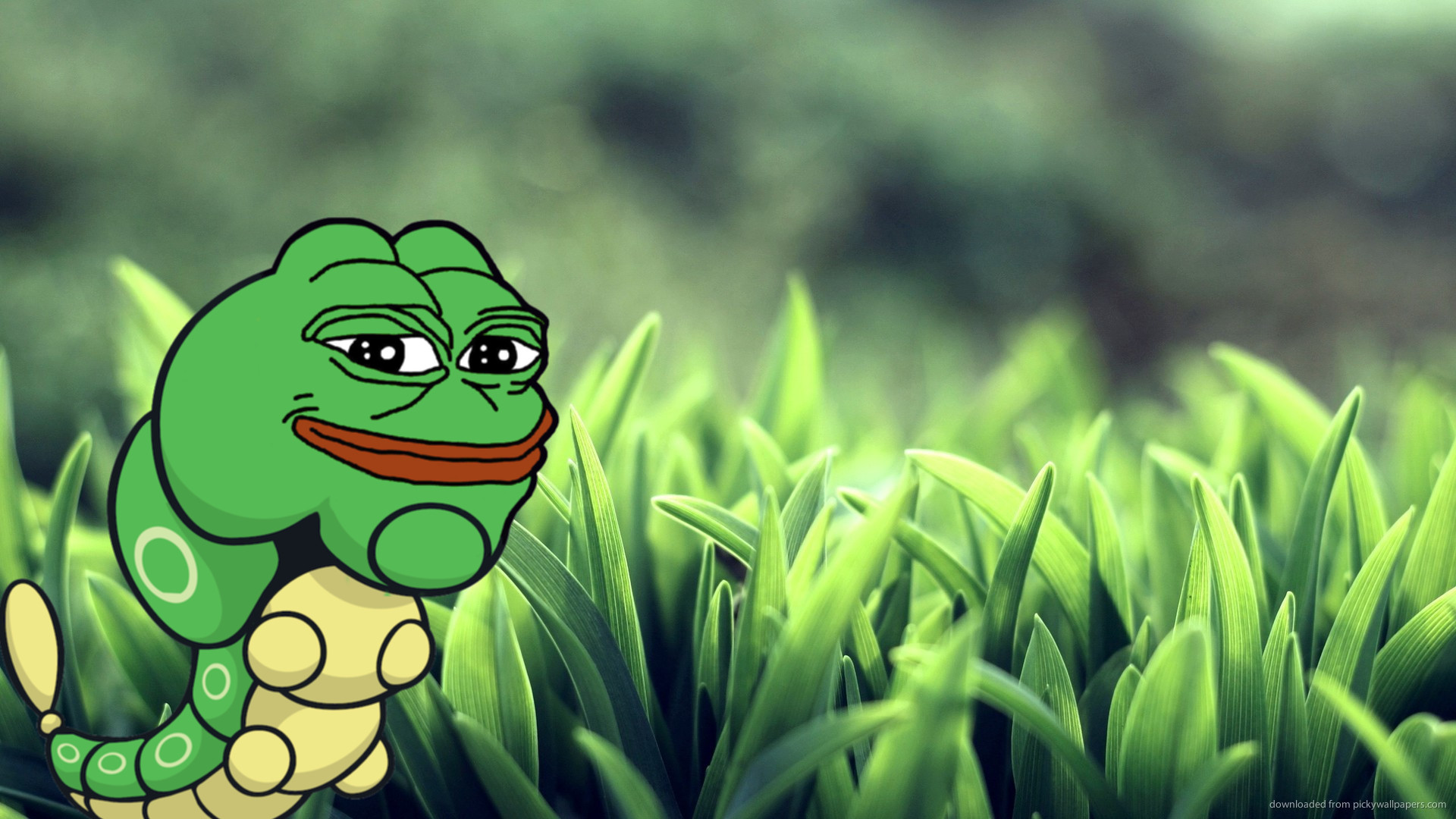 3 Reasons Why This New Memecoin Will Outshine PEPE For A 5000% Better Return