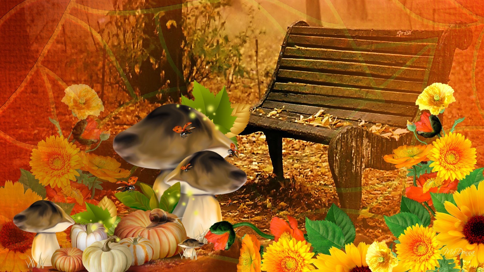 1920x1080 Gourds Tag - Bright Fall Day Autumn Flowers Harvest Ladybugs Mushrooms  Gourds Fleurs Pumpkin October Thanksgiving