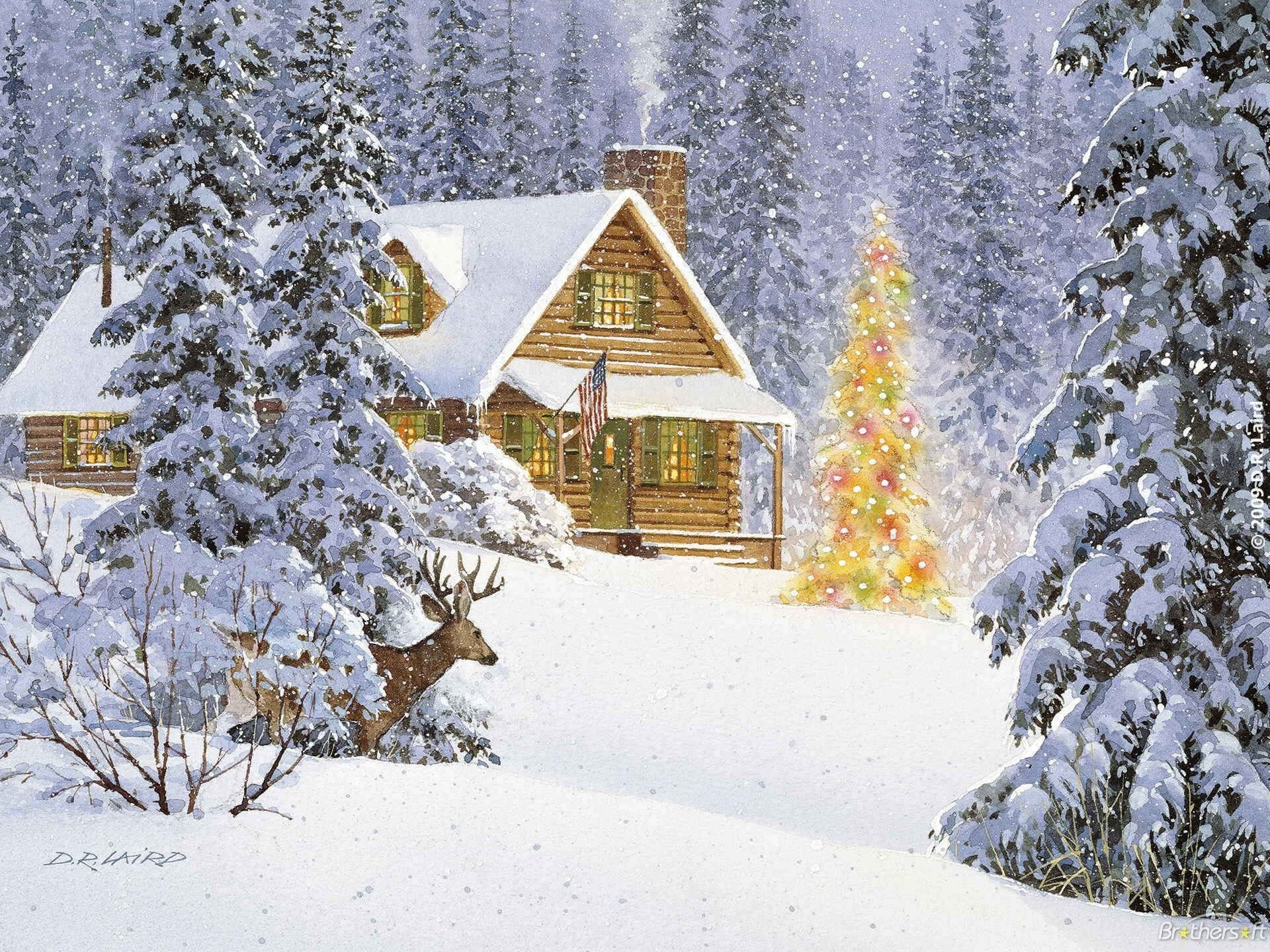 1920x1440 1366x768 Winter Shelter Snow Bird Free Themed Desktop Wallpaper ~ Winter  HD">