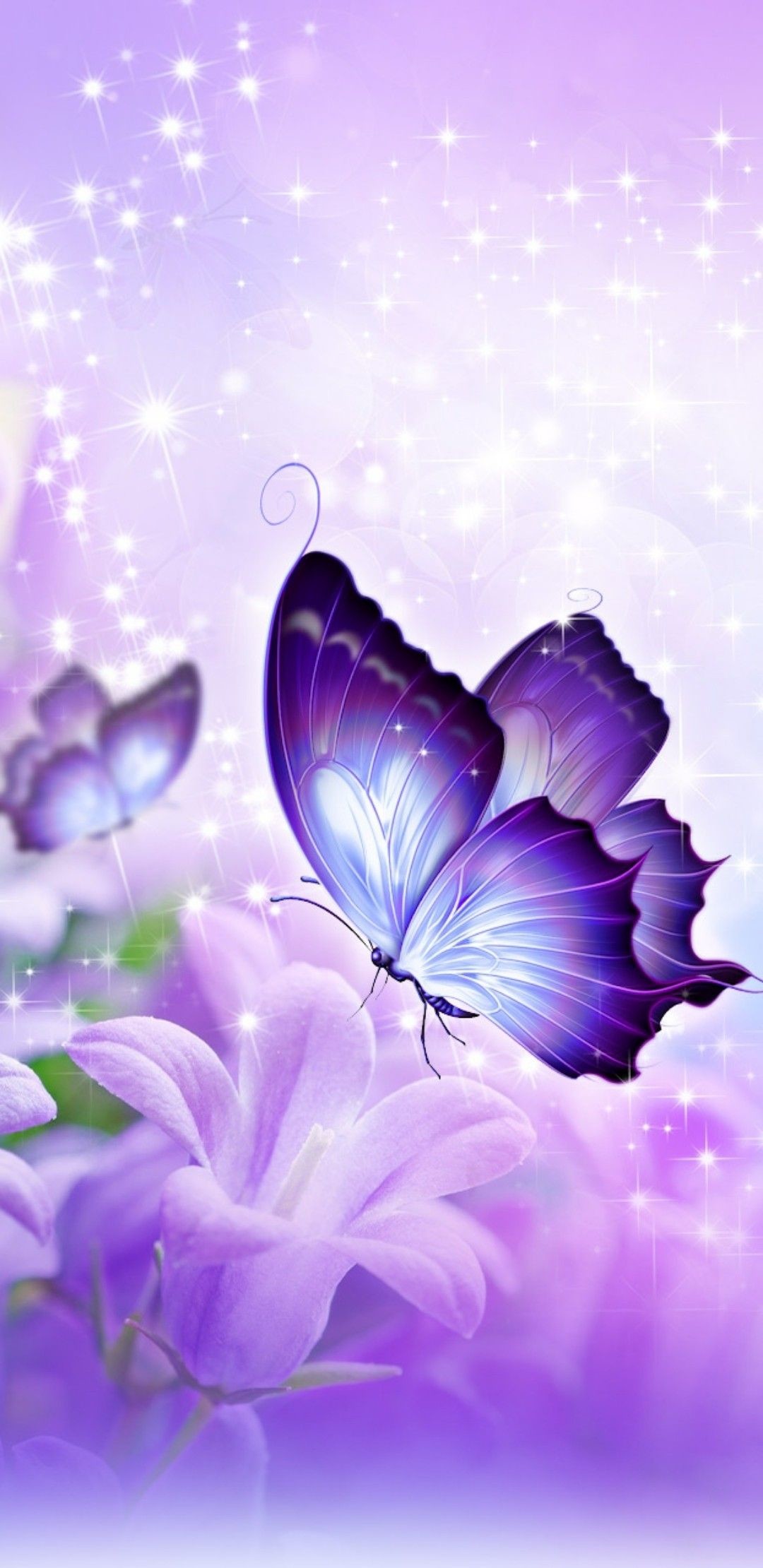 1080x2220 Linda mariposa morada | Lovely purple butterfly