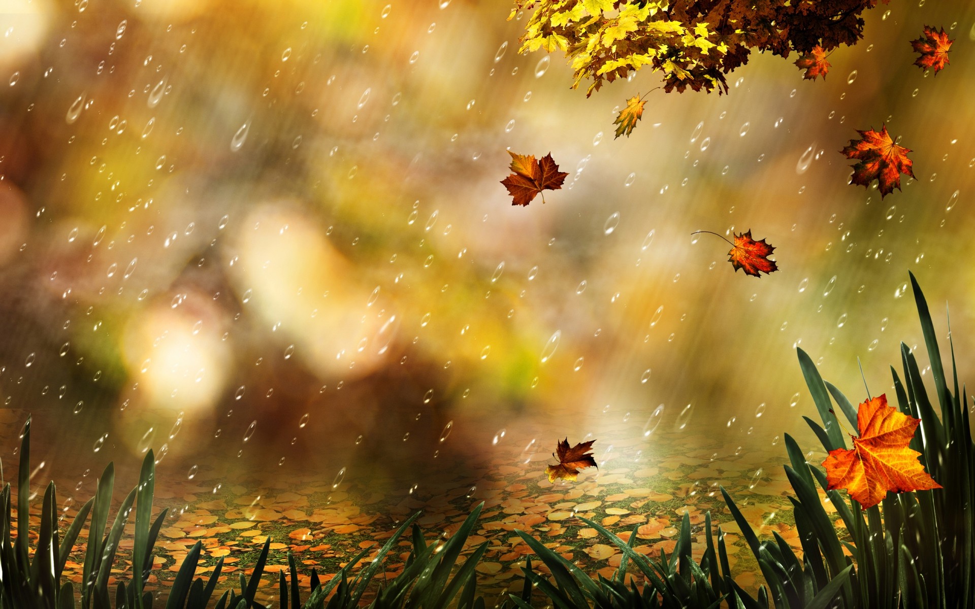 1920x1200 Fall HD Wallpaper | Background Image |  | ID:313897 - Wallpaper  Abyss