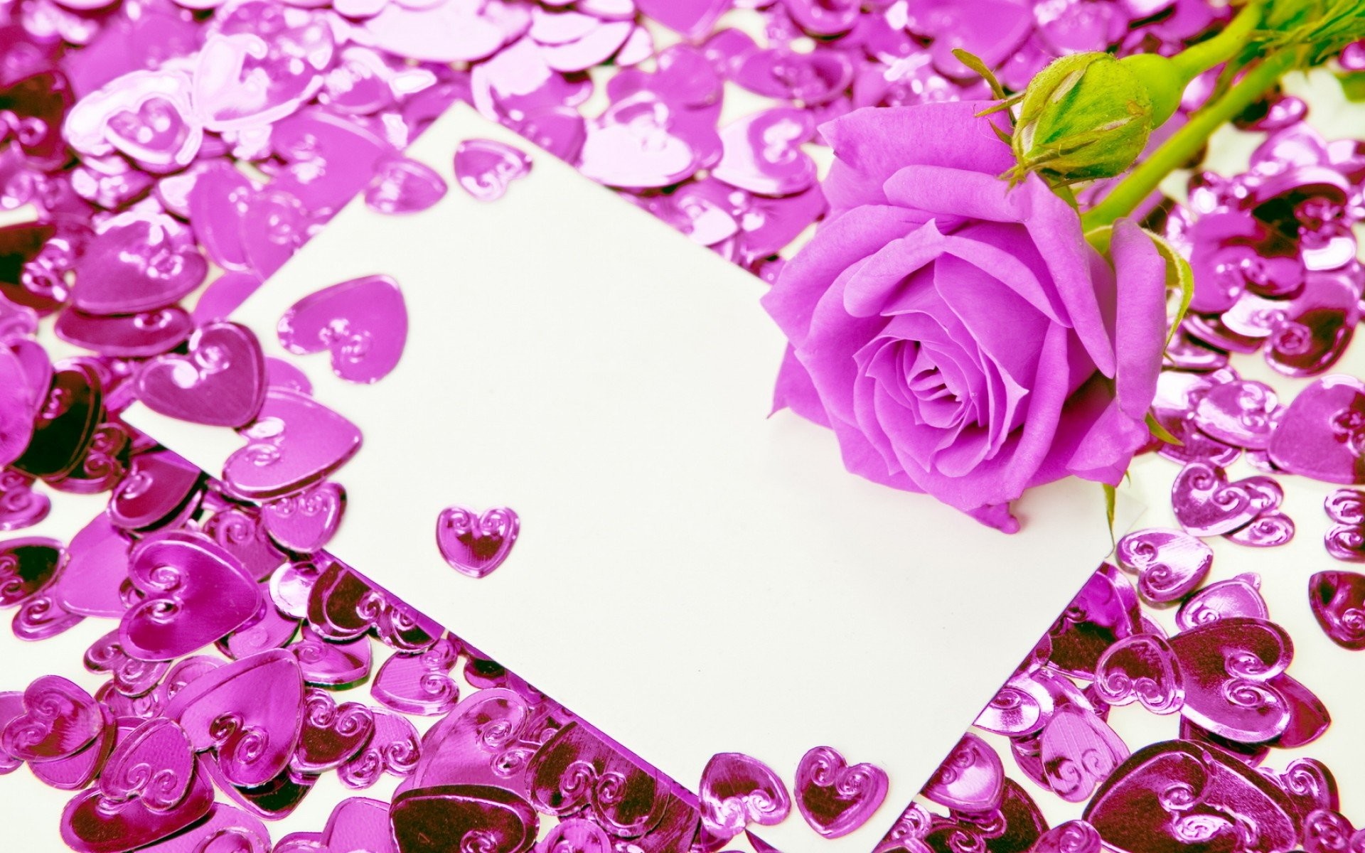 1920x1200 Purple Hearts For Valentine's Day