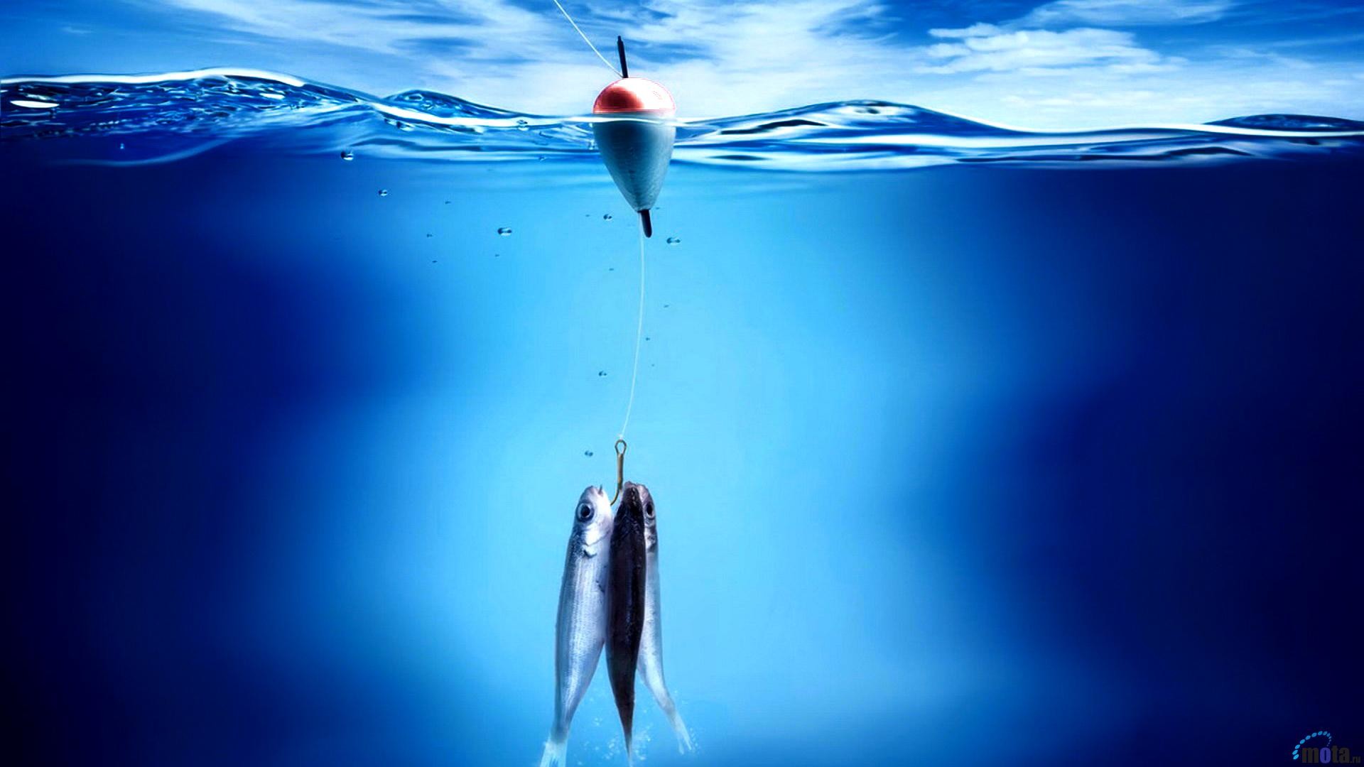 1920x1080 Fishing Wallpapers For Iphone