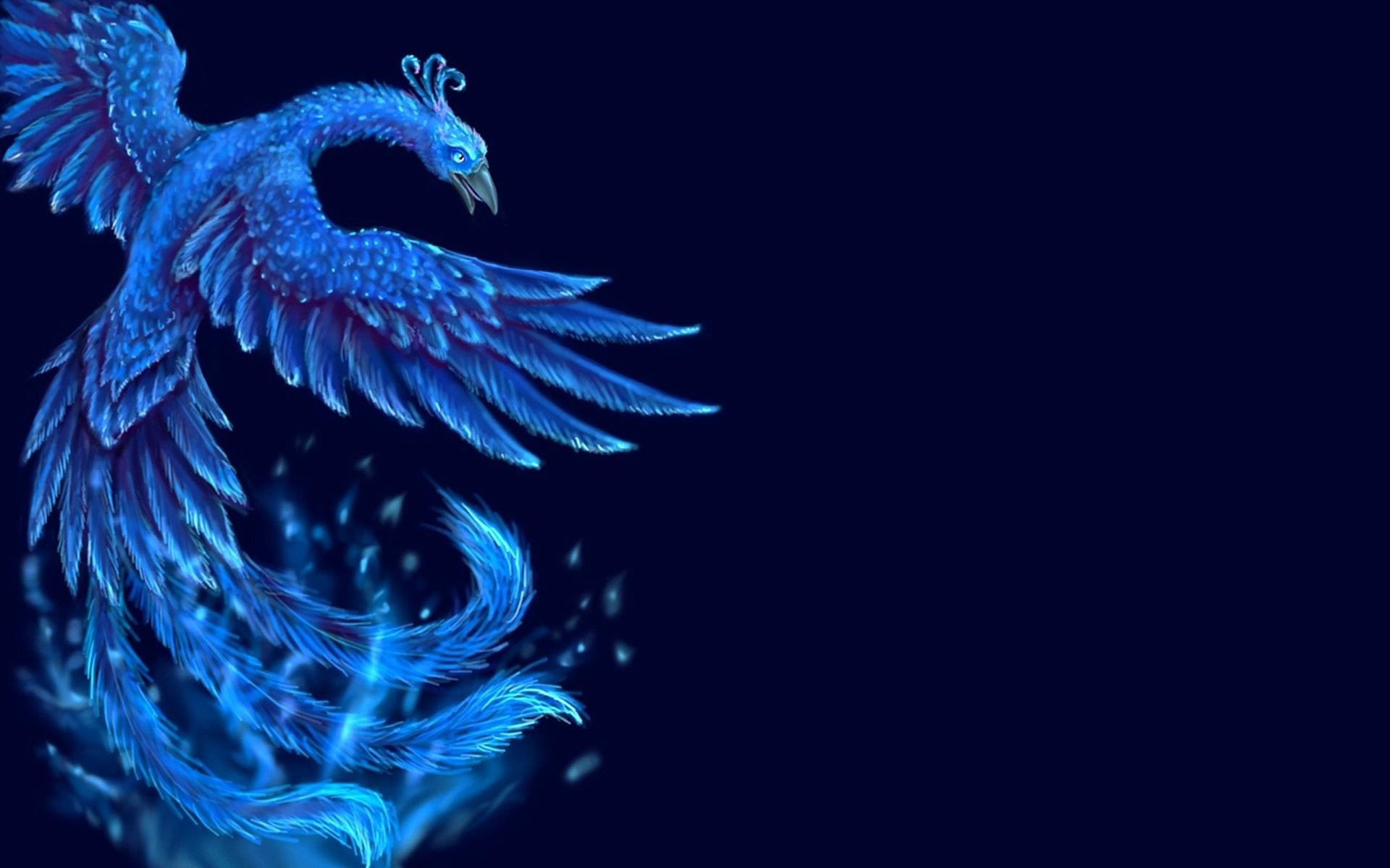 1920x1200 Fantasy - Phoenix KÃ¼nstlerisch Vogel Blau Wallpaper