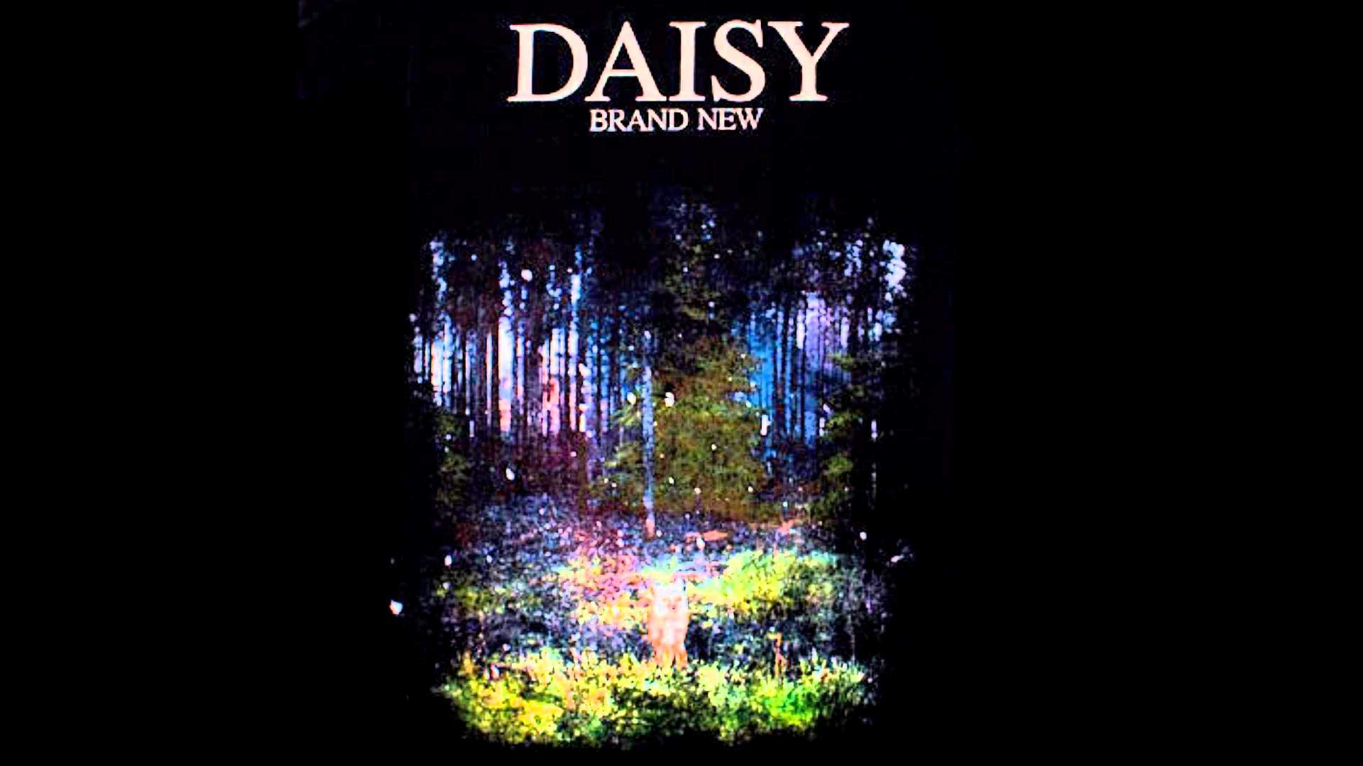 1920x1080 Brand New Daisy Wallpaper