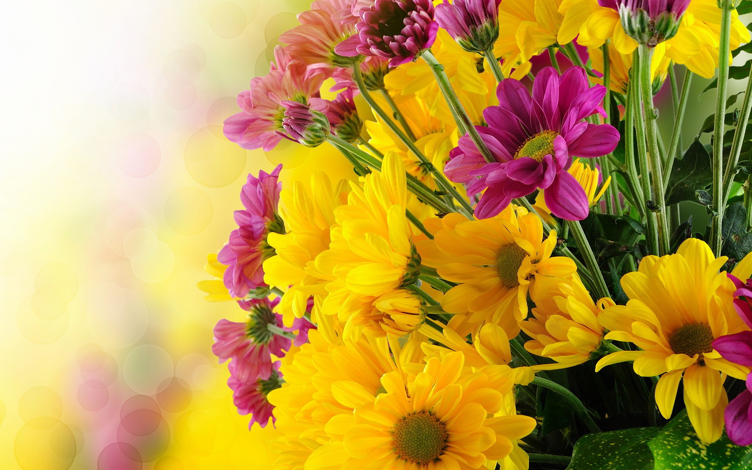 2560x1600 BUNCH PINK YELLOW FLOWERS - Online Wallpapers HD