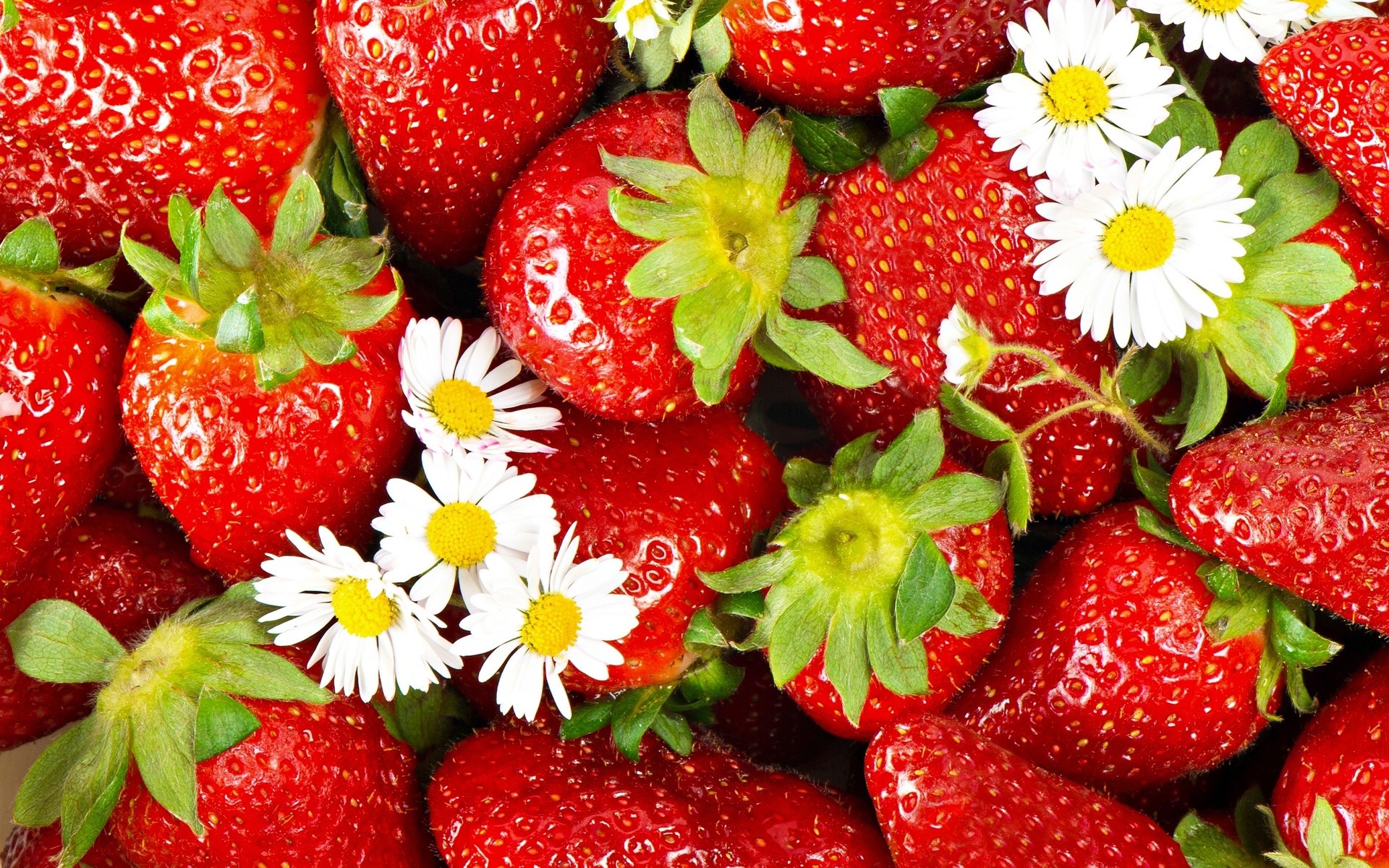 1920x1200 HD Cute Strawberries and Flower Wallpaper for Computer .