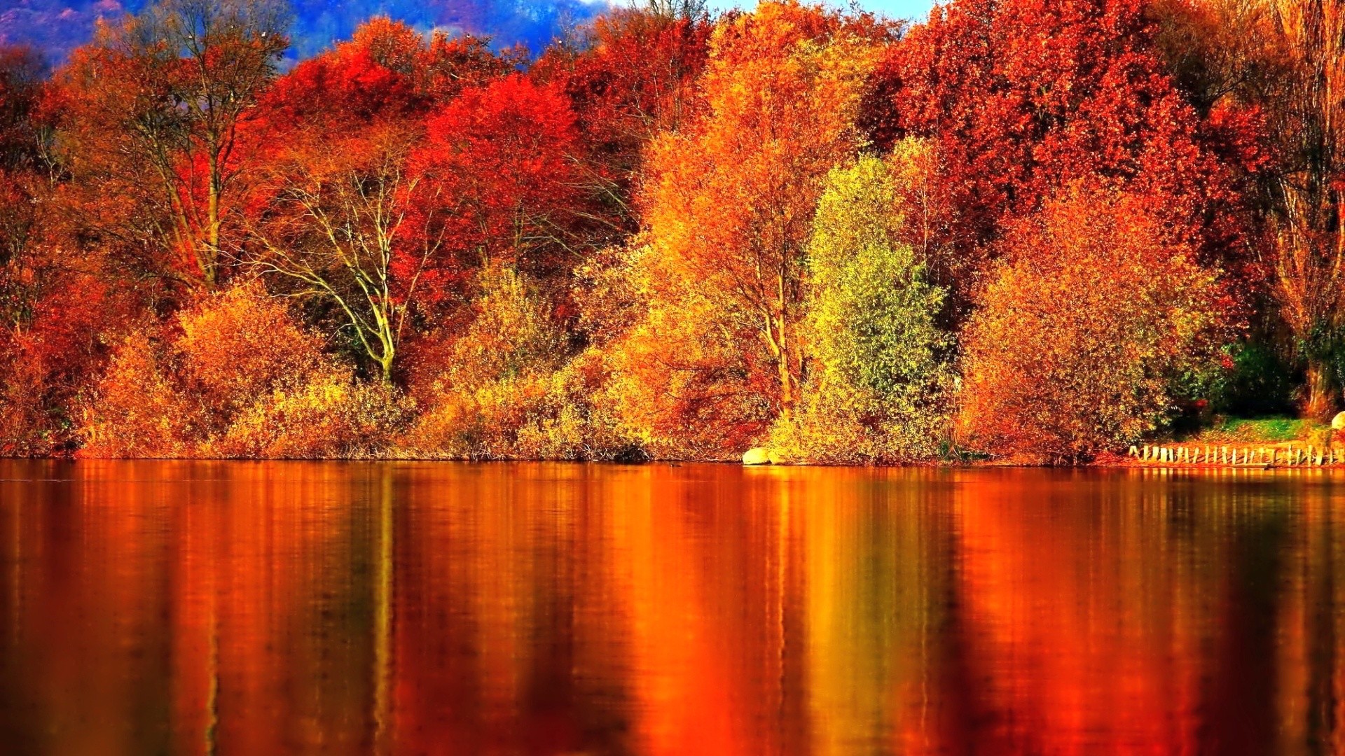 1920x1080 Other Autumn Nature Red Fire Bush Free Wallpapers for HD